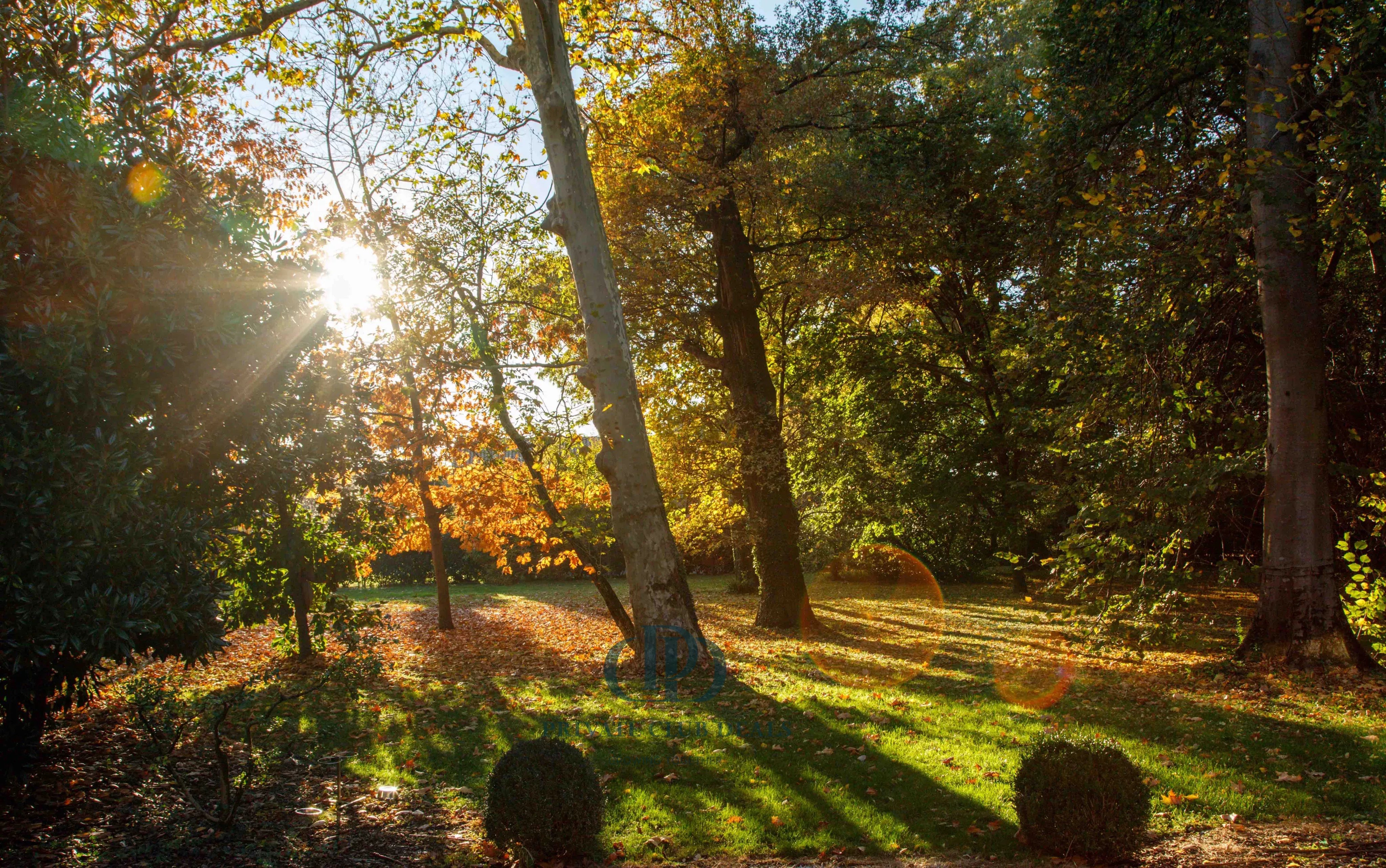 Villa Bassano del Grappa - picture 18