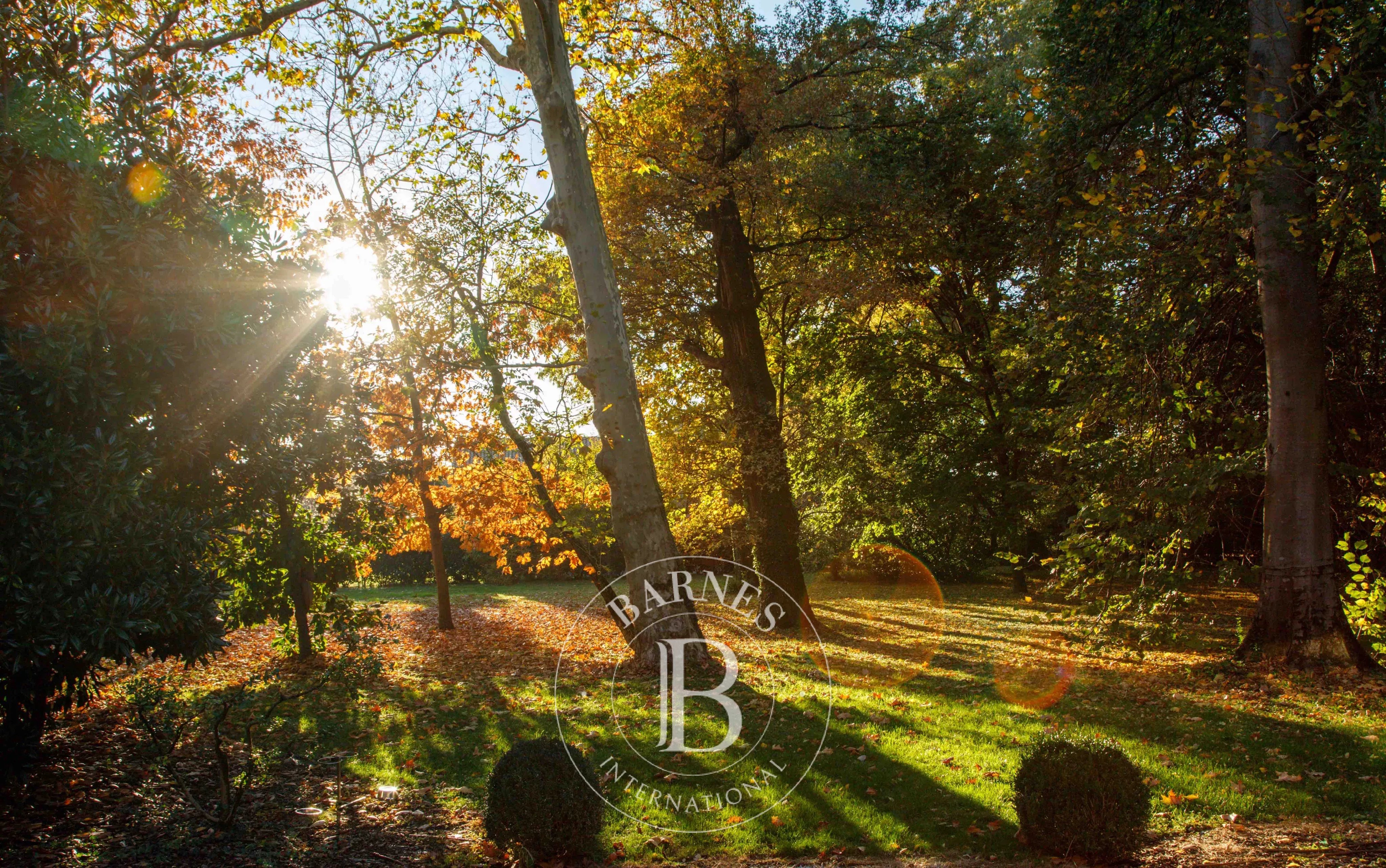 Villa Bassano del Grappa - picture 18