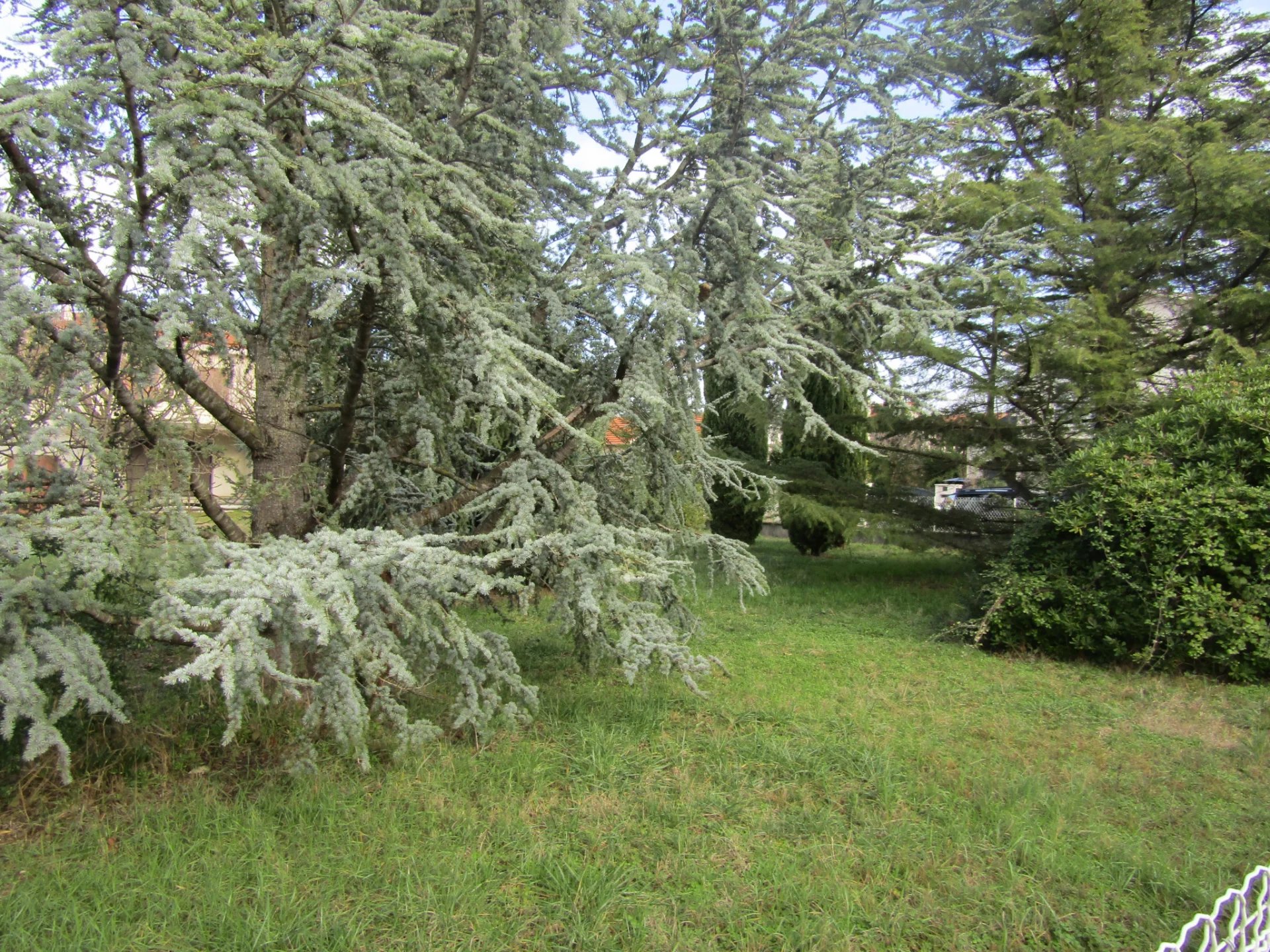 Vente Terrain Revel