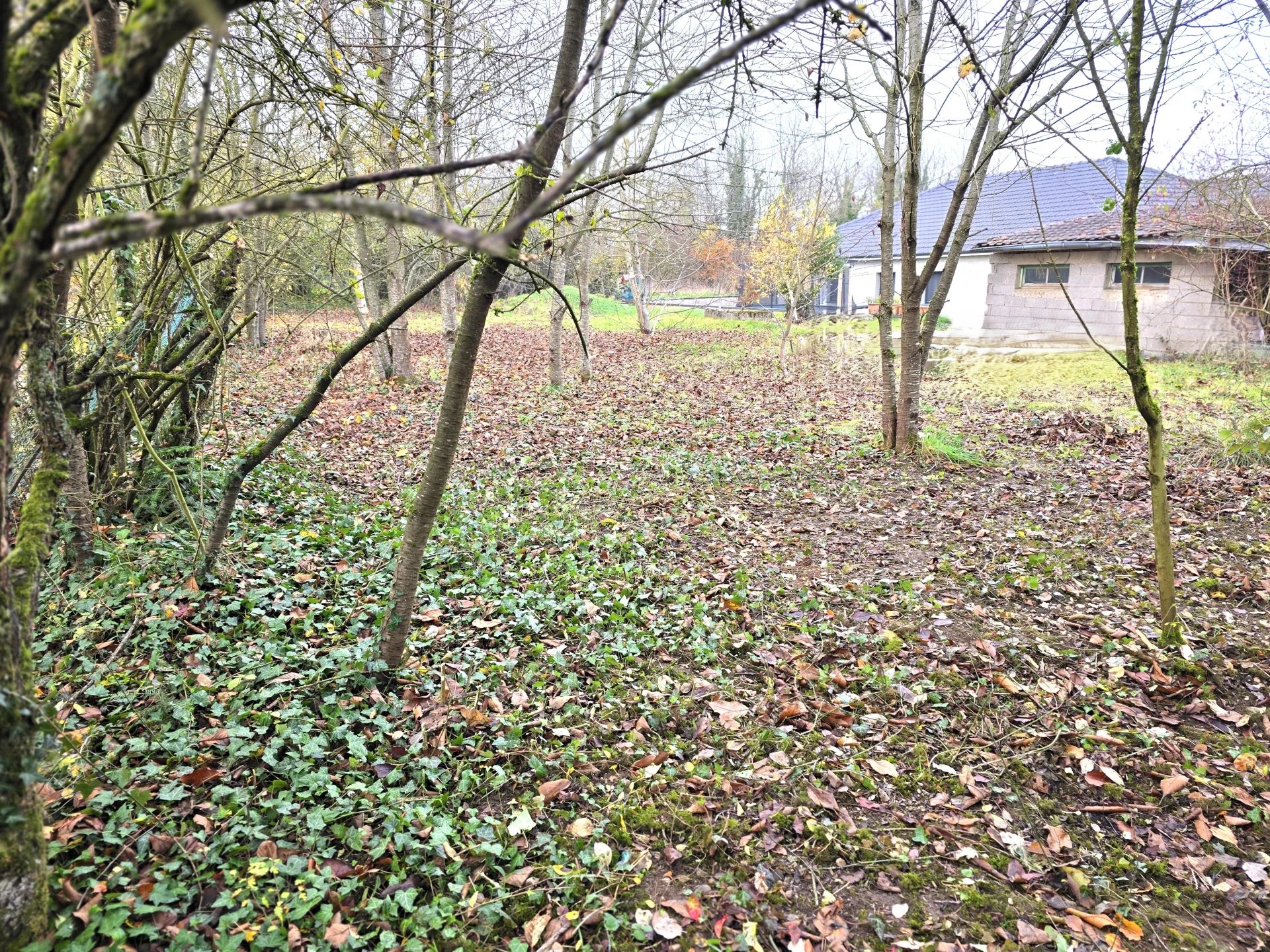 Vente Terrain constructible Dieulouard