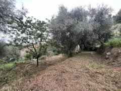 Agence immobilière de AZUR LOC INVEST