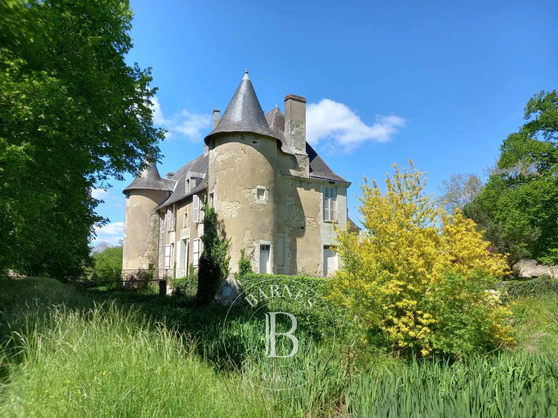 Châtellerault  - Château 18 Pi&egrave;ces 8 Chambres - picture 8