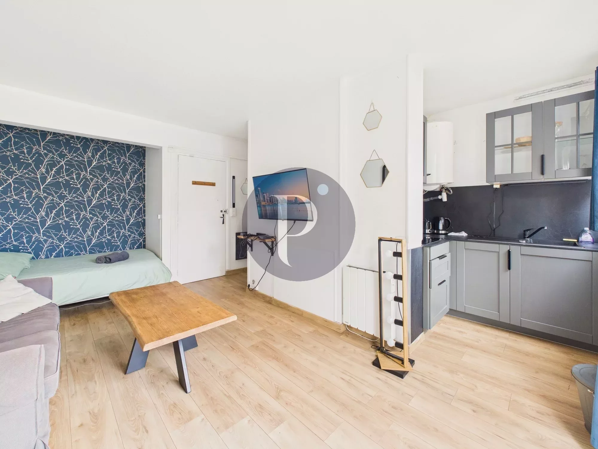 vente-immeuble-1-piece-antony-92-hauts-de-seine-86377360
