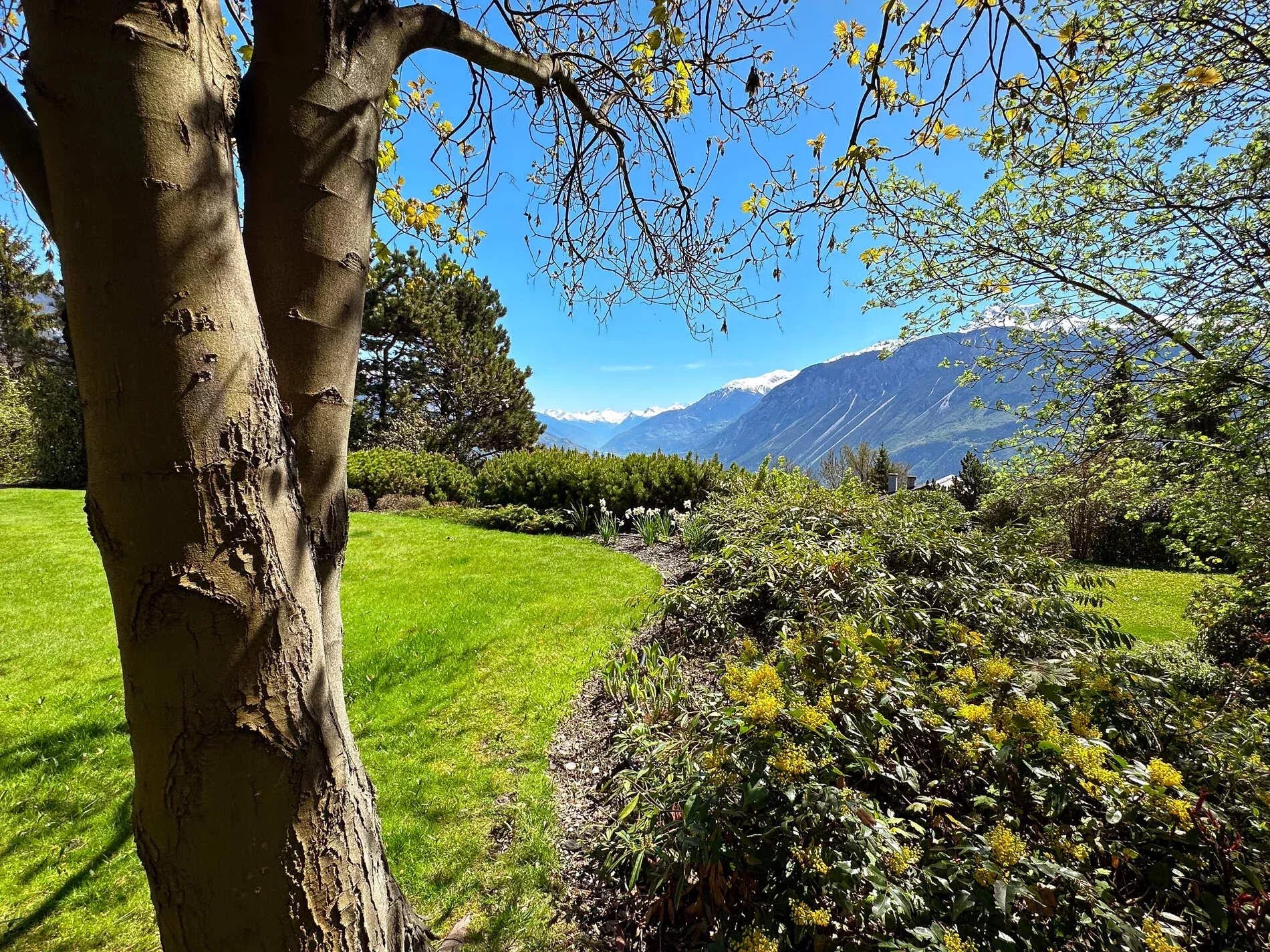 Calme absolu pour cette sublime propriété niché dans un écrin de verdure