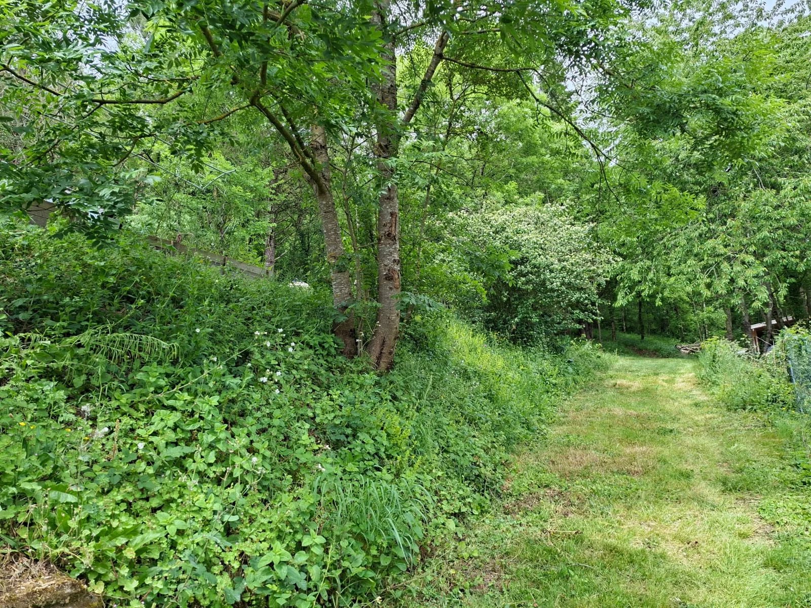 Huis te koop Castelnaudary, Aude