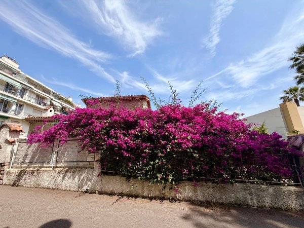 Luxury Family Villa for Renovation in Nice | Quartier Grosso Estate — photo 1