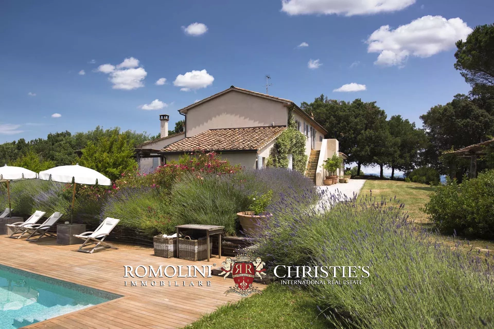 EQUESTRIAN SEA VIEW WINE ESTATE WITH VINEYARDS FOR SALE CLOSE TO BOLGHERI, TUSCANY