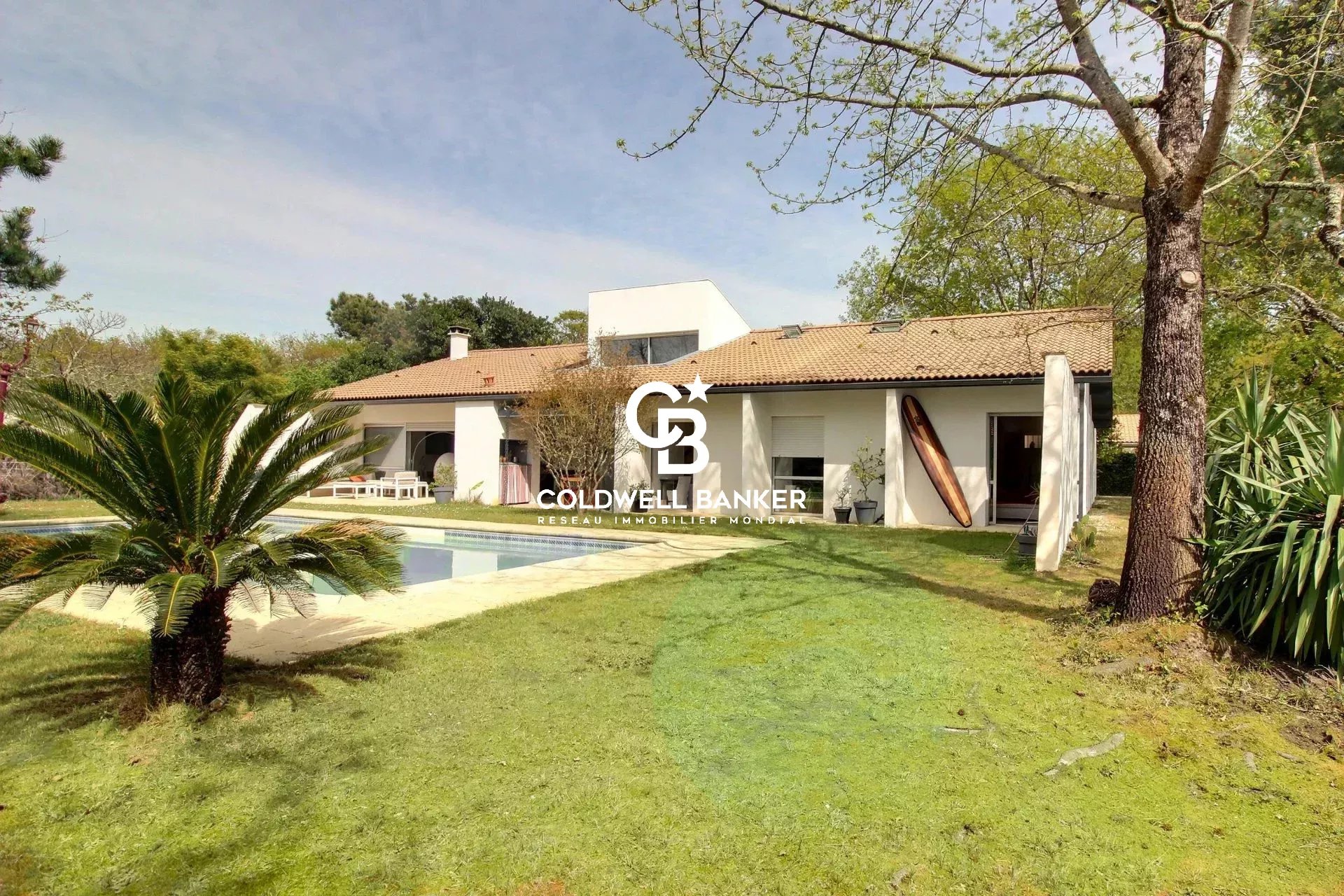 Agence immobilière de Silver Coast Int. Realty