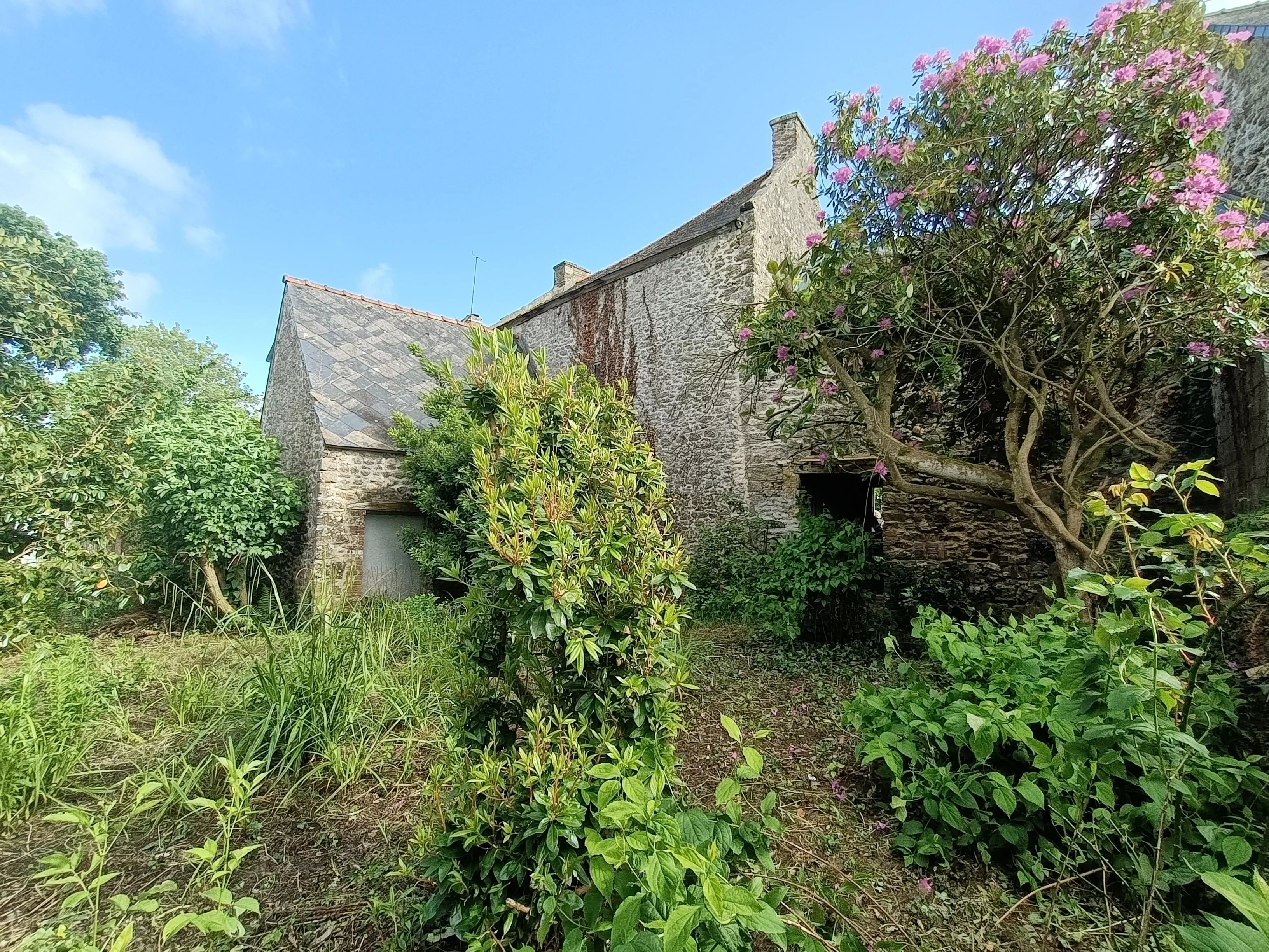 CAMPAGNE PLEURTUIT