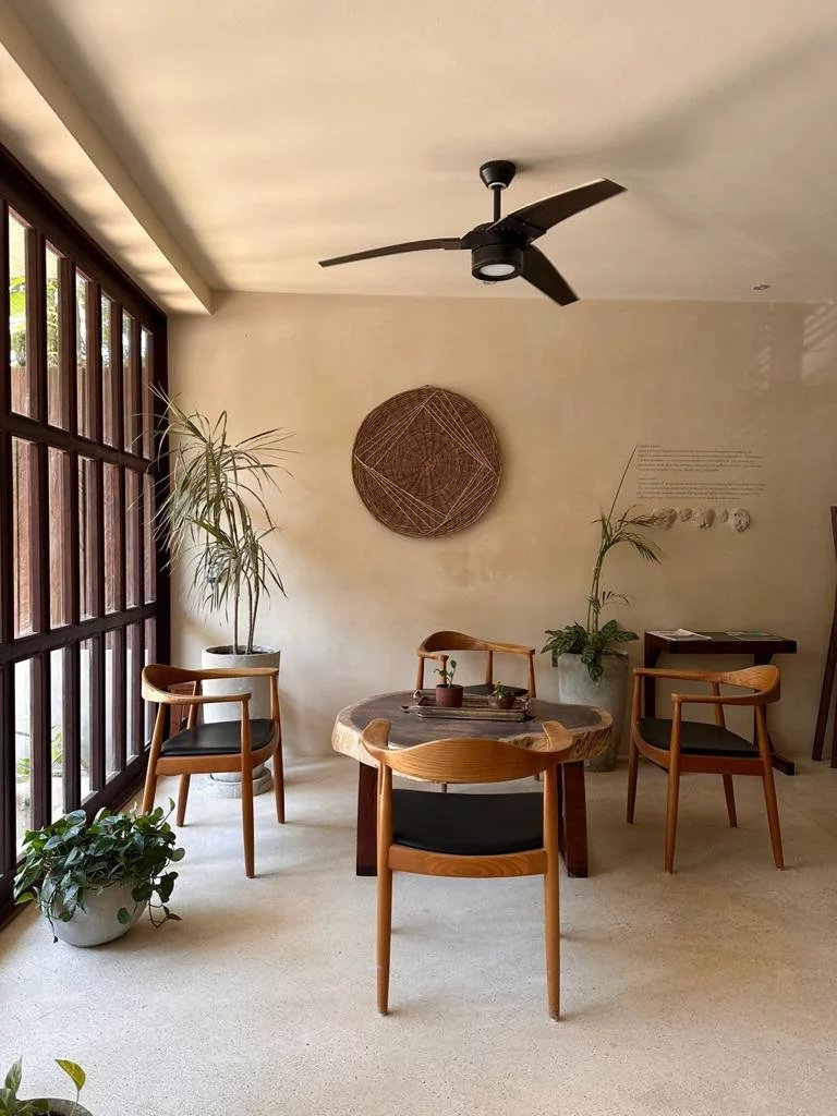 Mexique - Tulum - En location - Appartement - 1 chambre