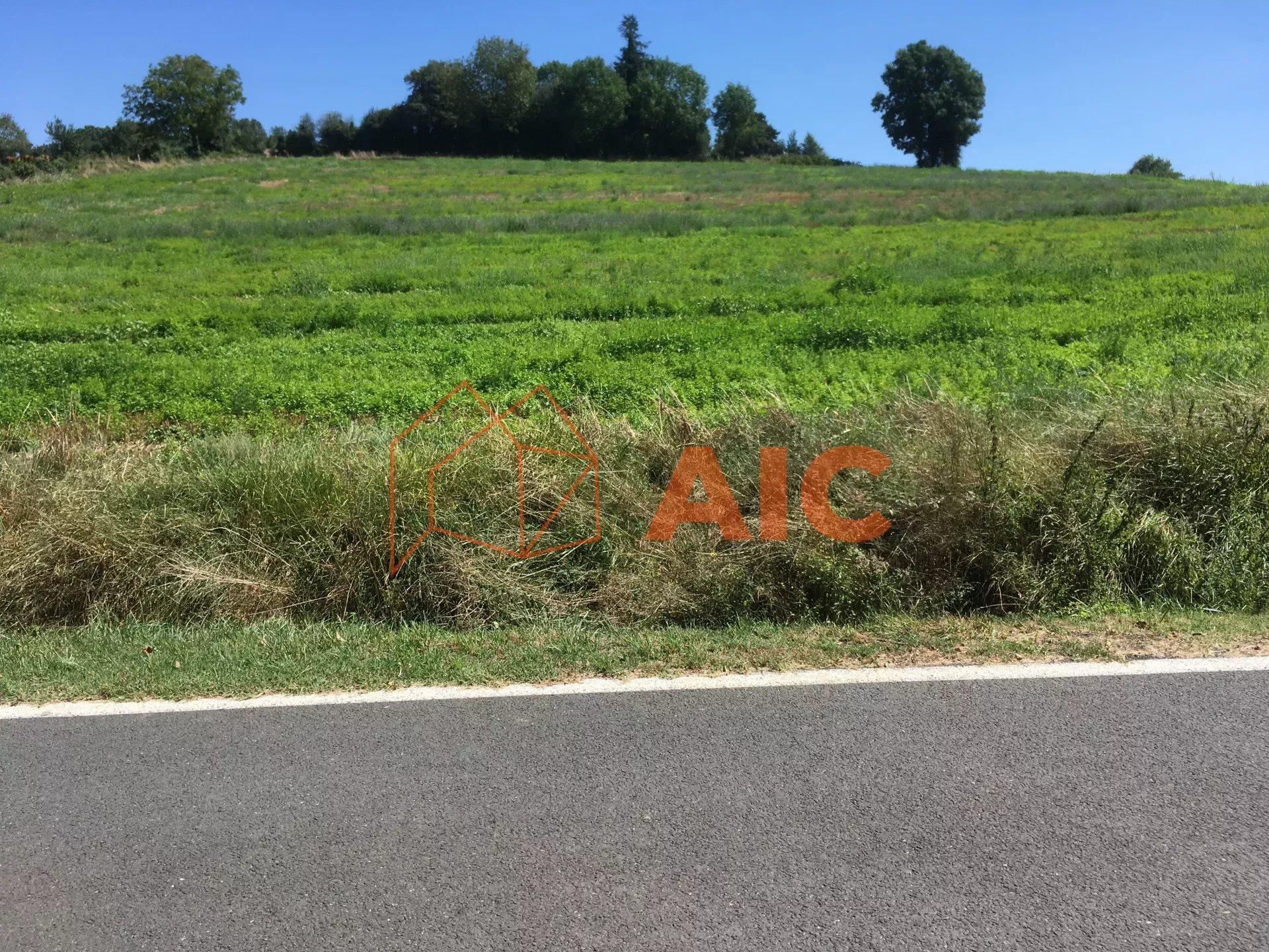 Agence immobilière de AIC 81