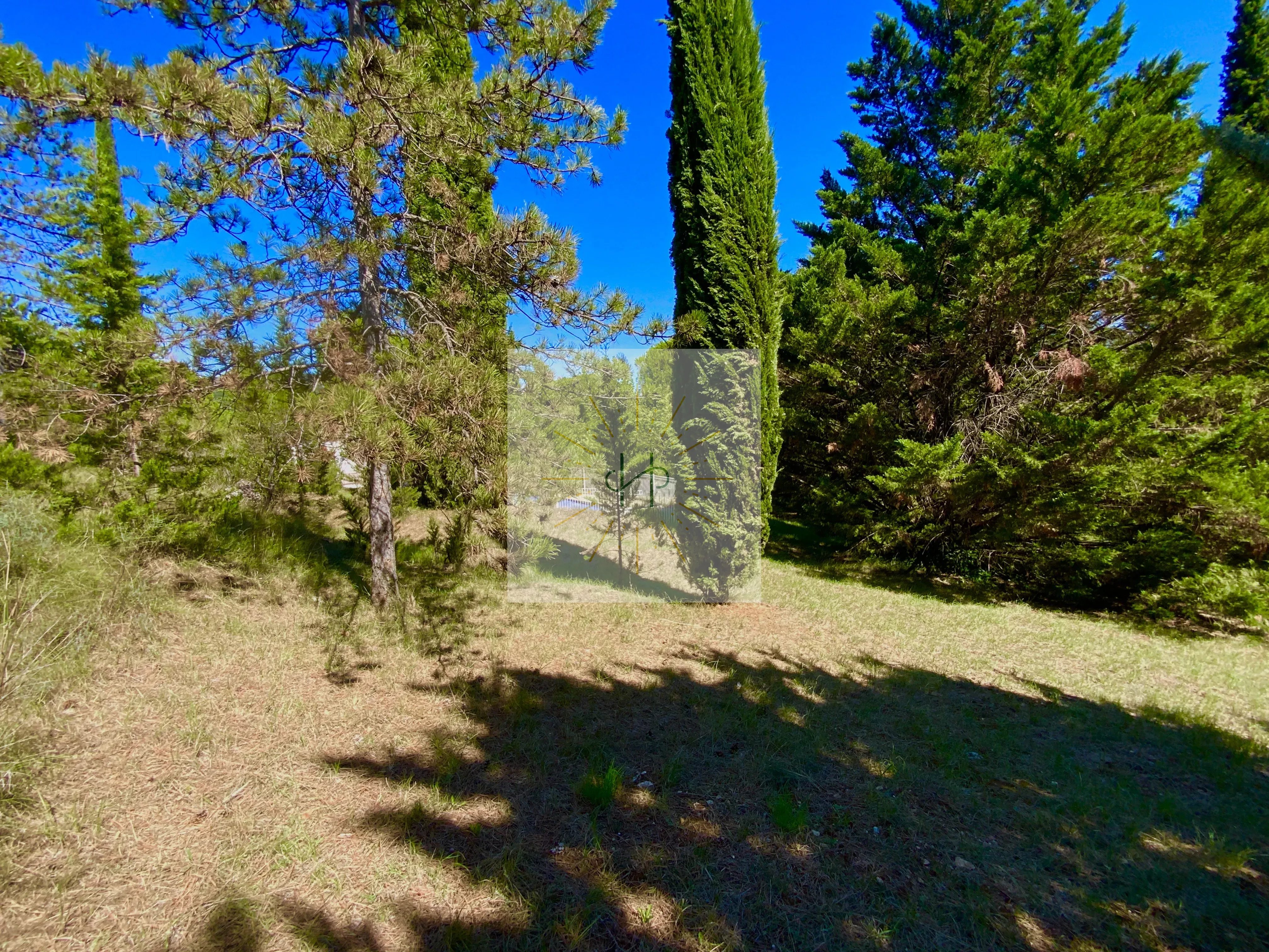 Première Image