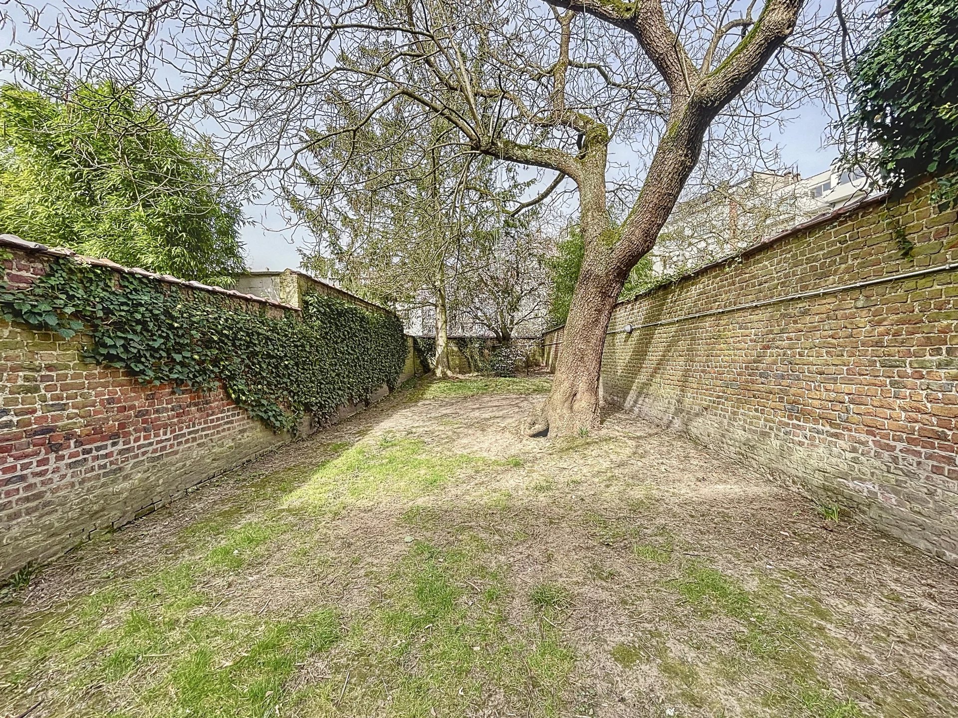 Ev Ixelles - picture 24