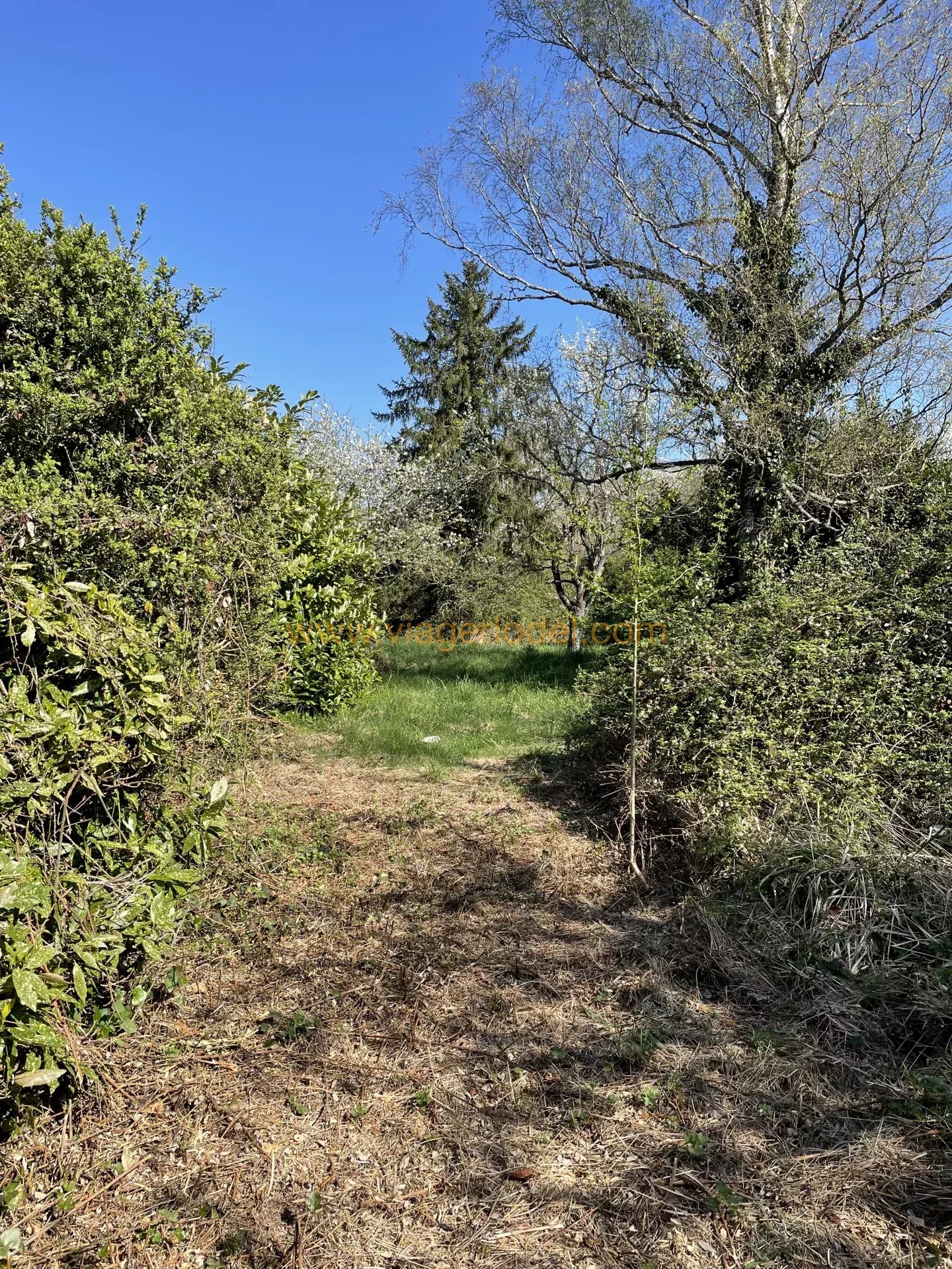 9722 - SALE - HOUSE URCIERS (36)