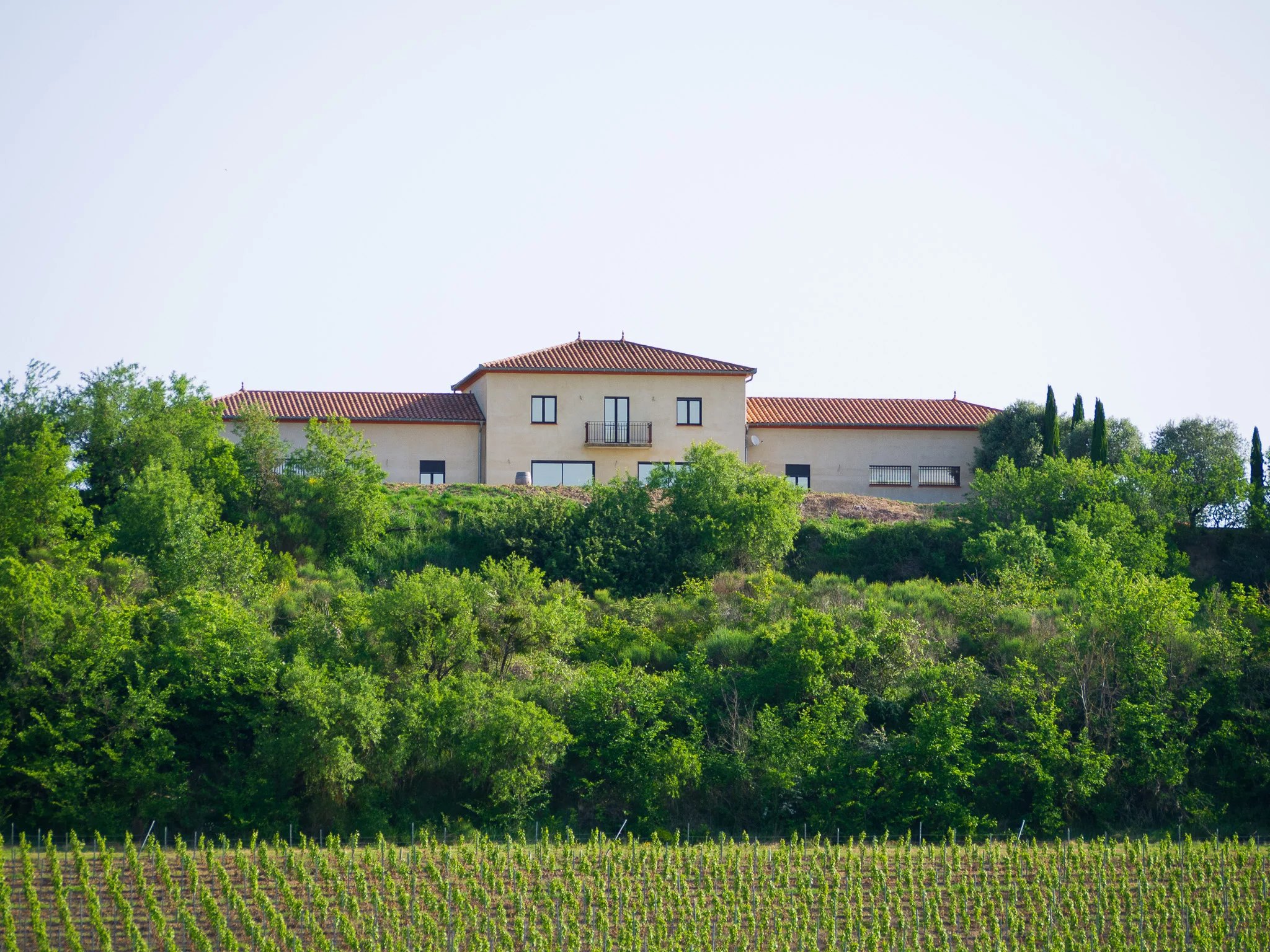 Propriété viticole à vendre Limoux, Aude