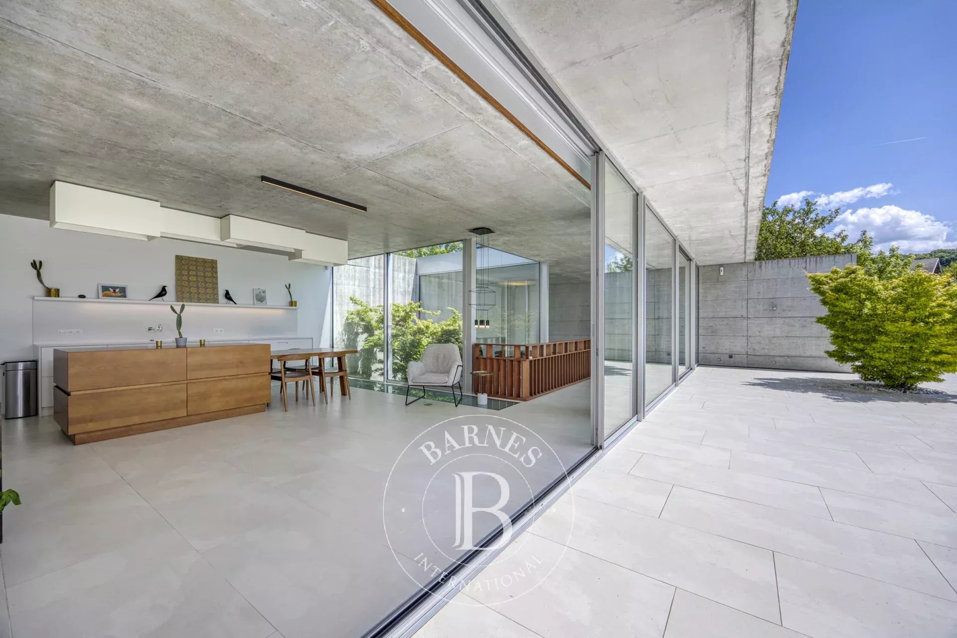 BARNES GENEVOIS - SAINT-JULIEN-EN-GENEVOIS - CONTEMPORARY VILLA