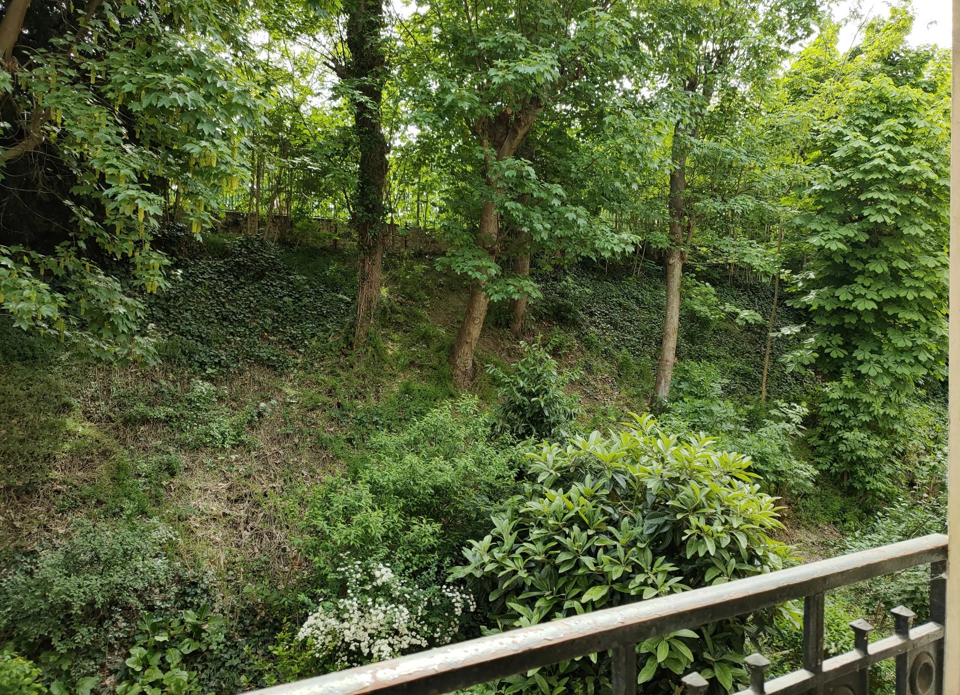 Image de la propriété 6