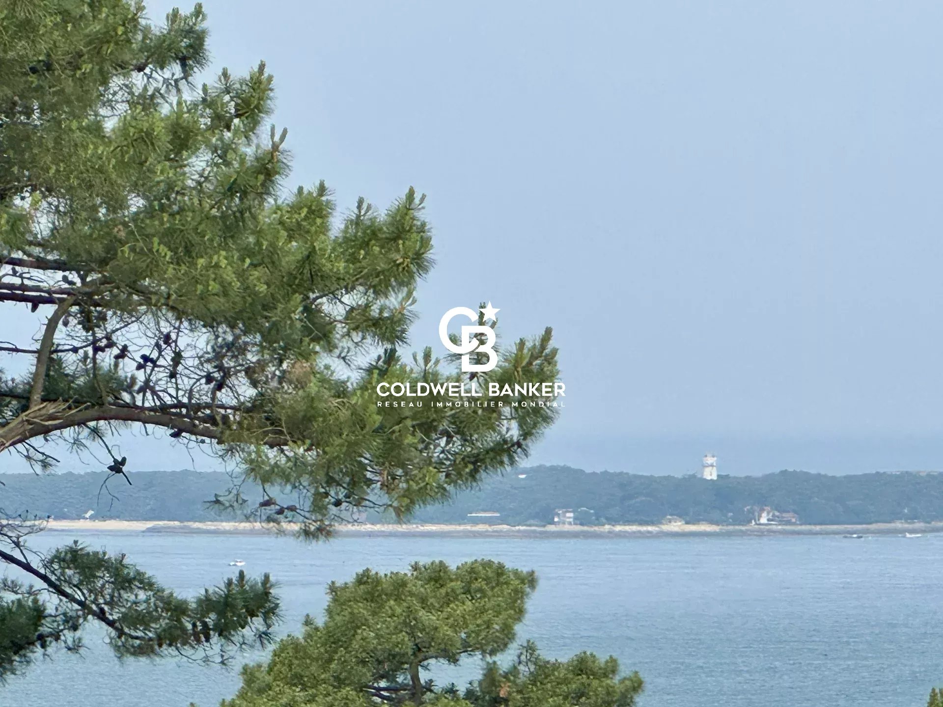 Agence immobilière de Silver Coast Int. Realty