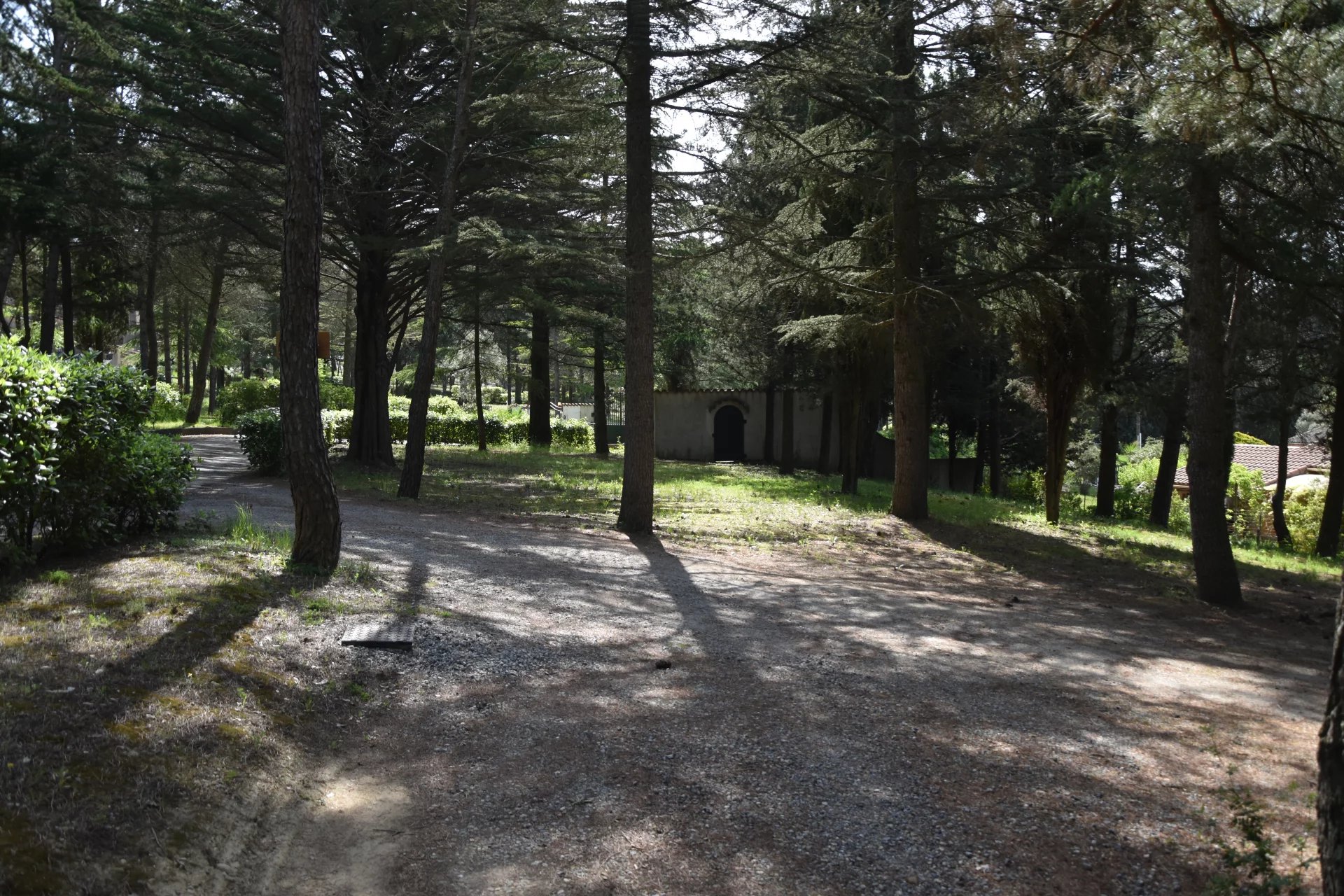 Land in Palaja - Image 3