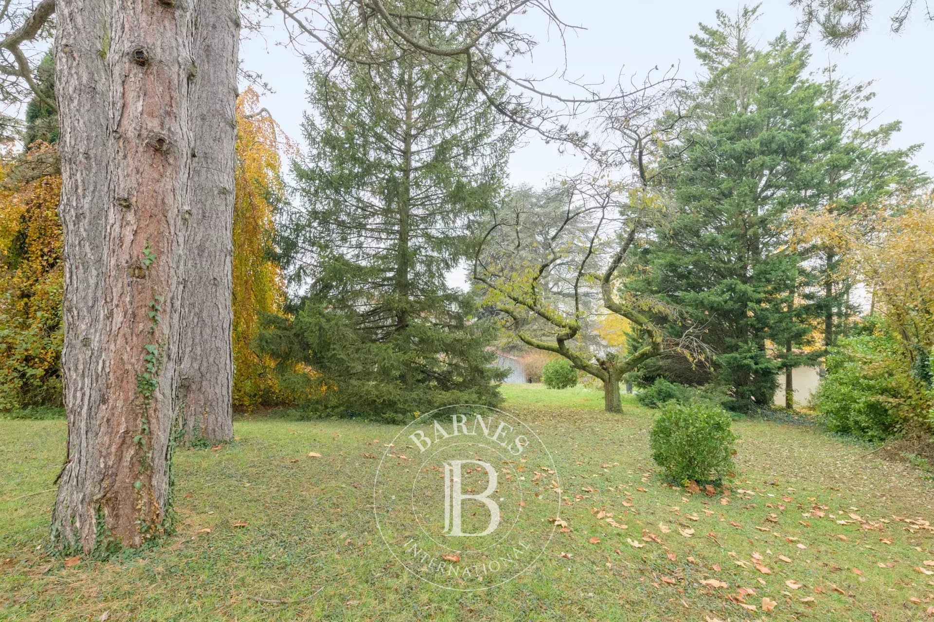 Ev Sainte-Foy-lès-Lyon - picture 19