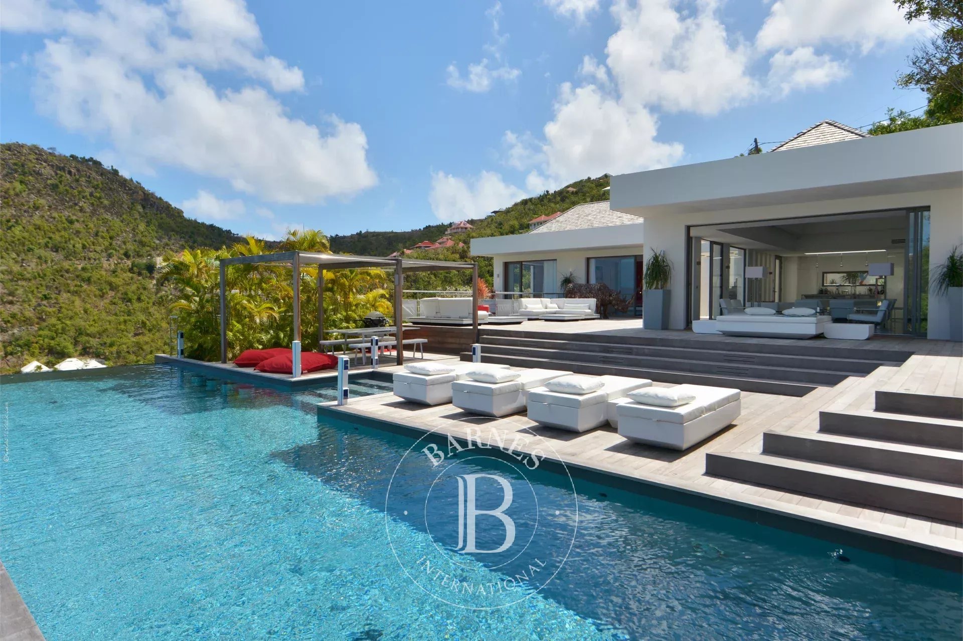 Villa Saint-Barthélemy  -  ref 86941550 (picture 3)