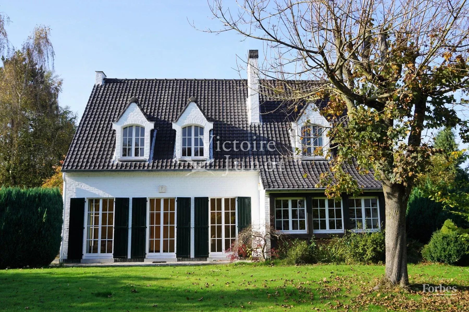 realisatie 86520566