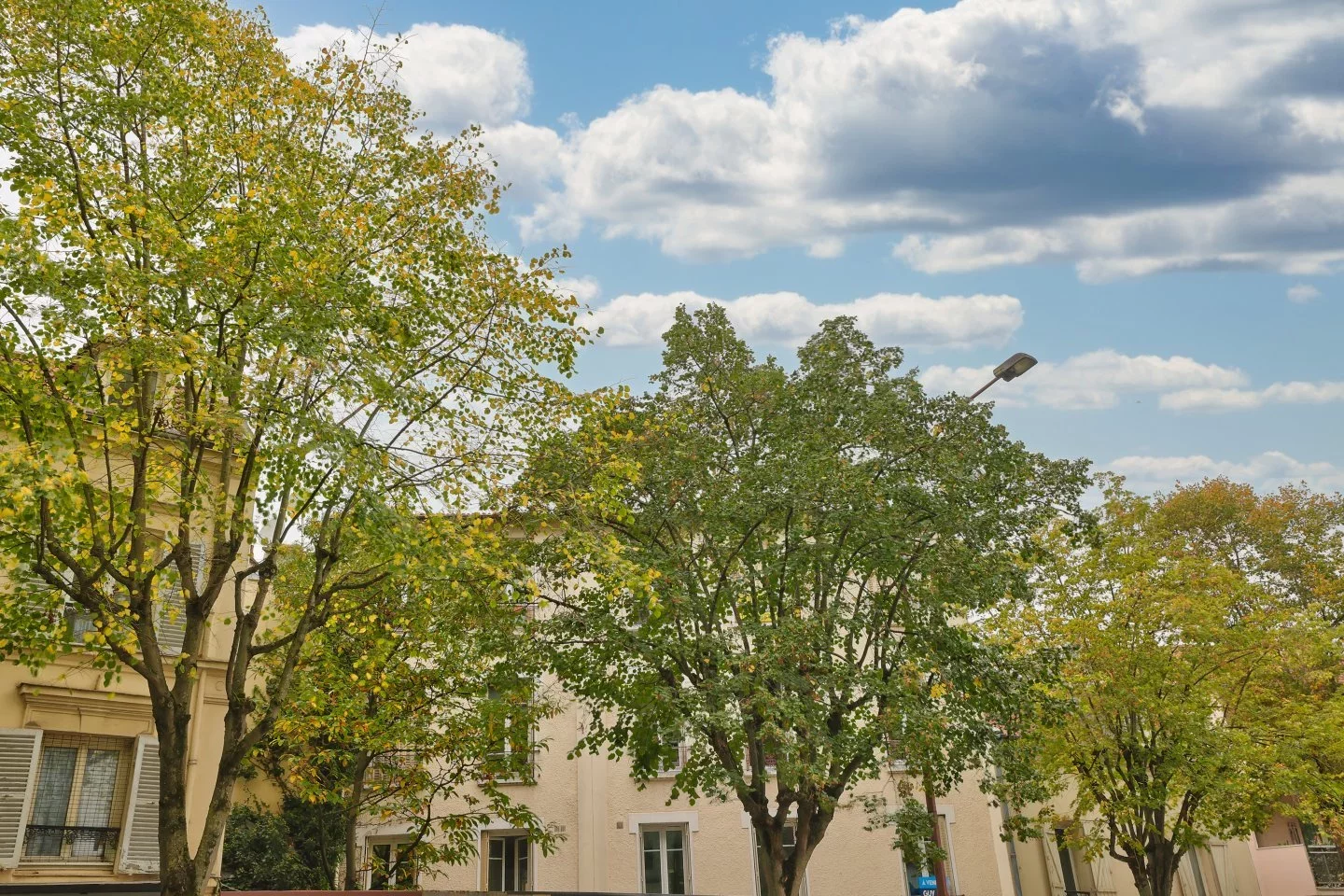 Chaville - CENTRE-VILLE