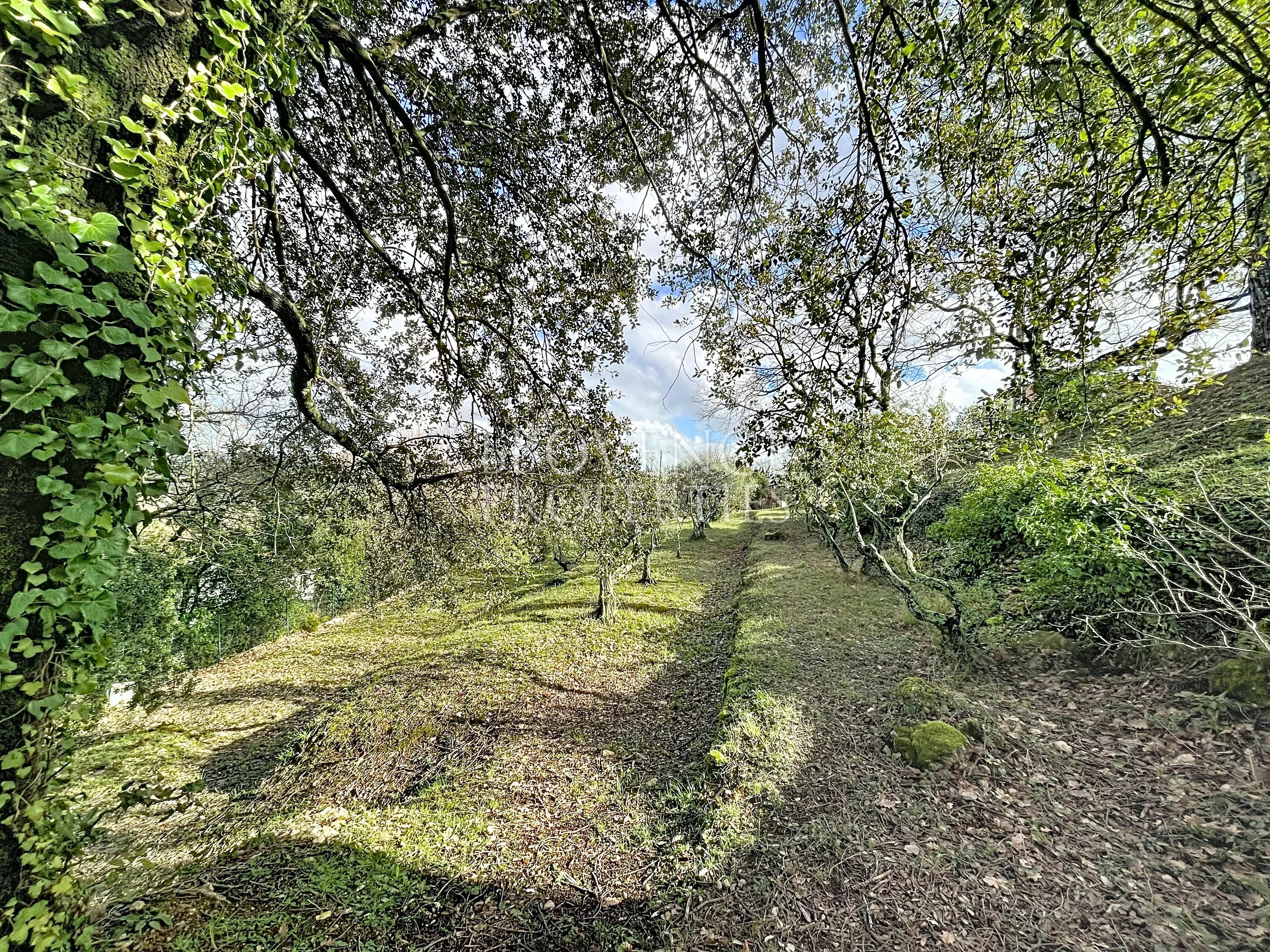 Élégante bastide d'inspiration aixoise sur les hauteurs de Tourves - Photo 2