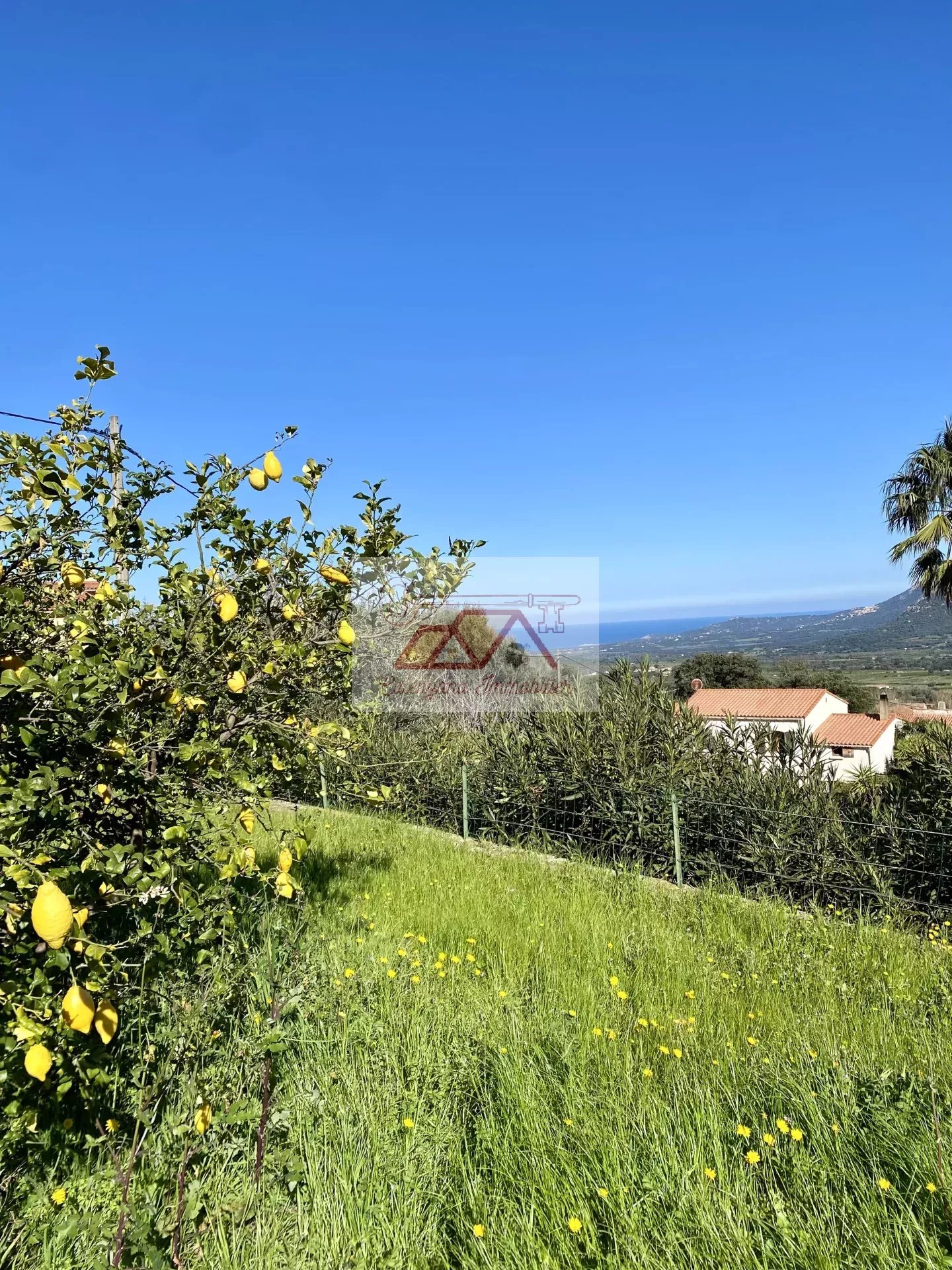 Location saisonnière Appartement Calenzana
