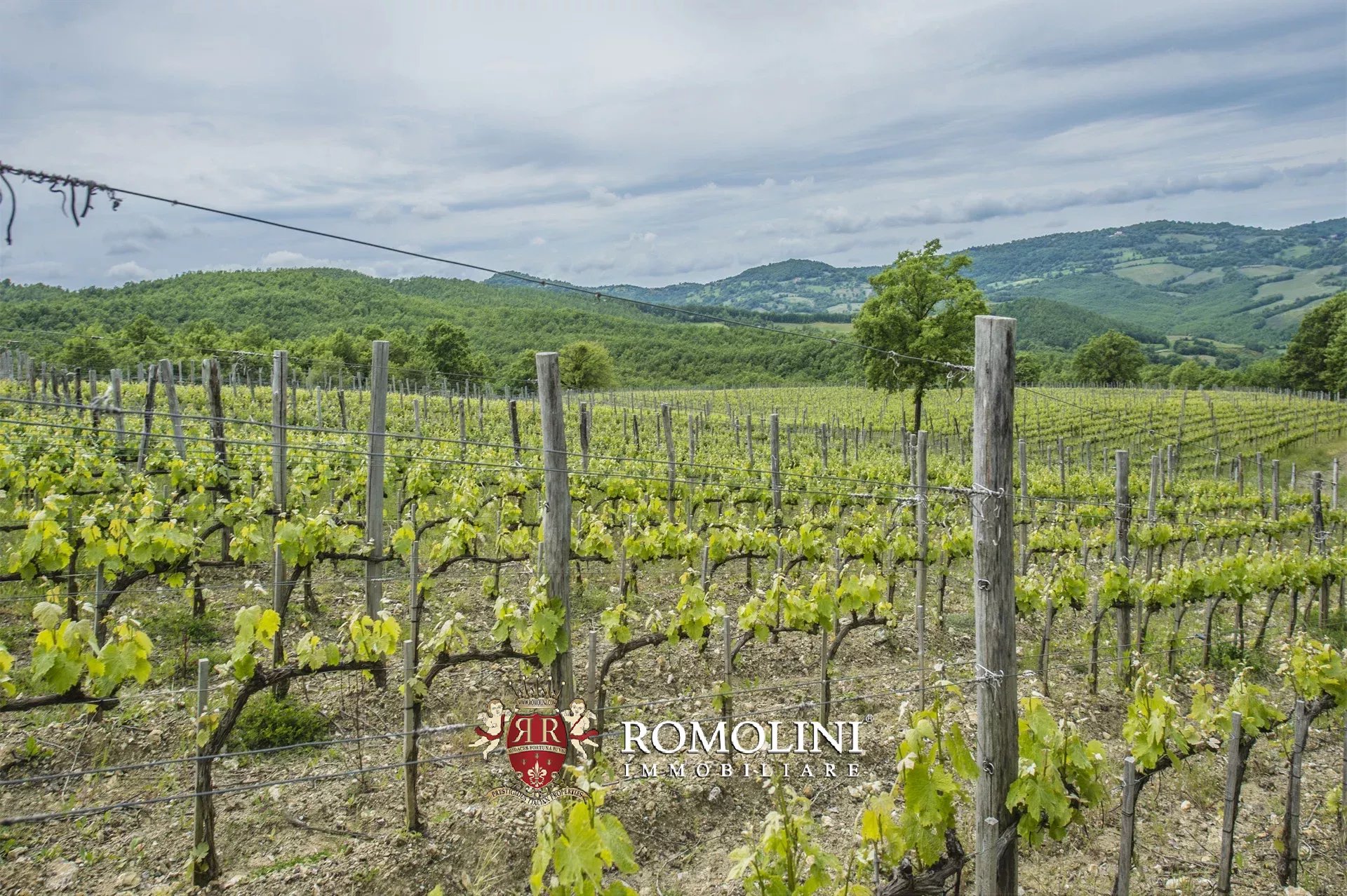 6 Bedroom Vineyard's Image 14