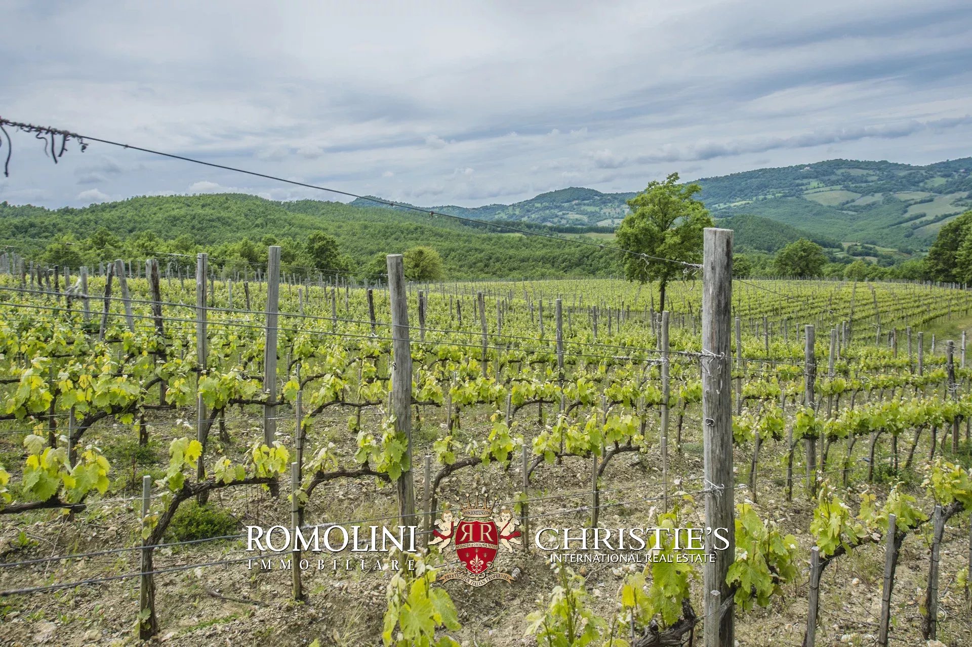 6 Bedroom Vineyard's Image 14
