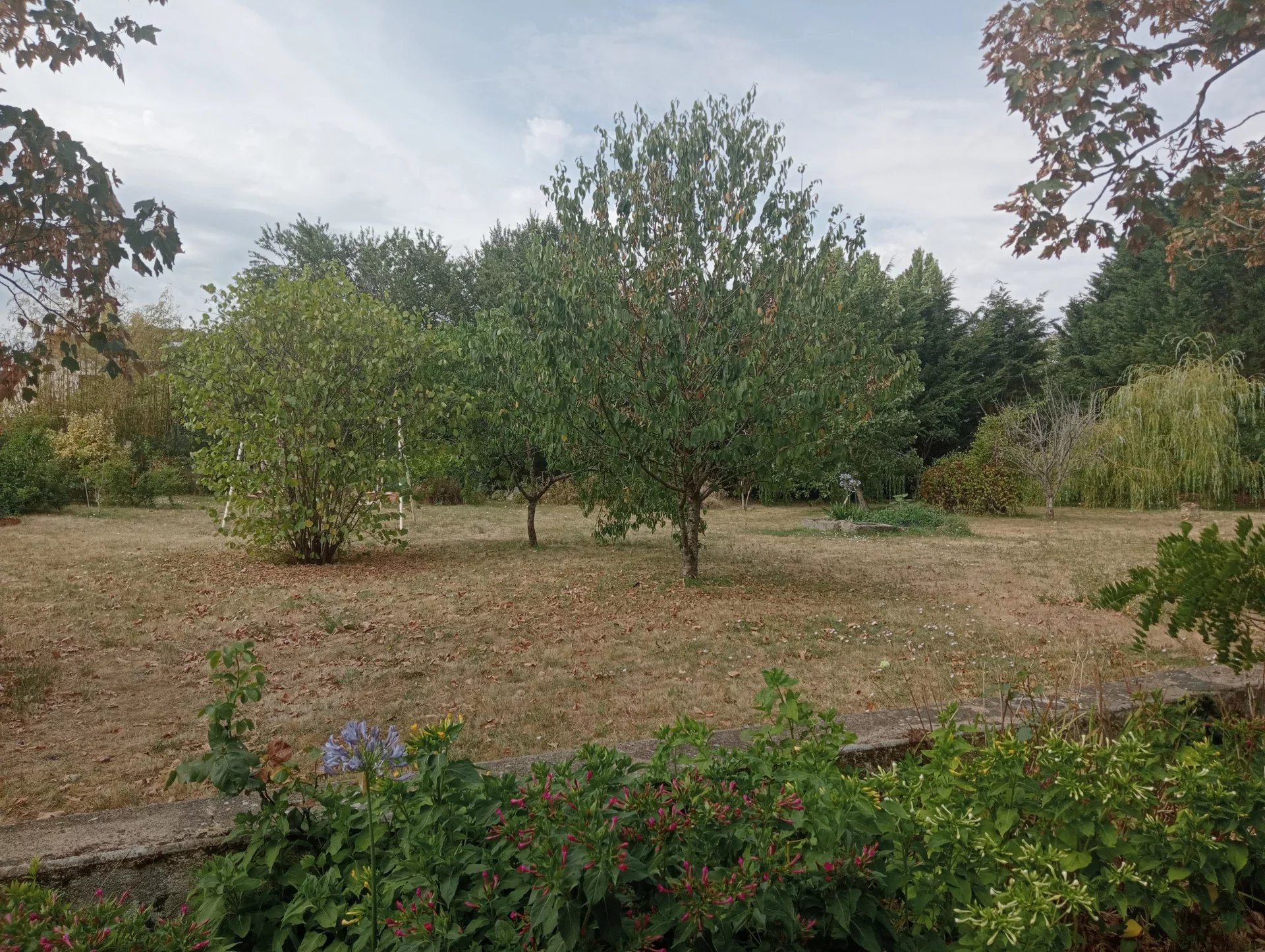 House in Brion-pres-Thouet - Image 2