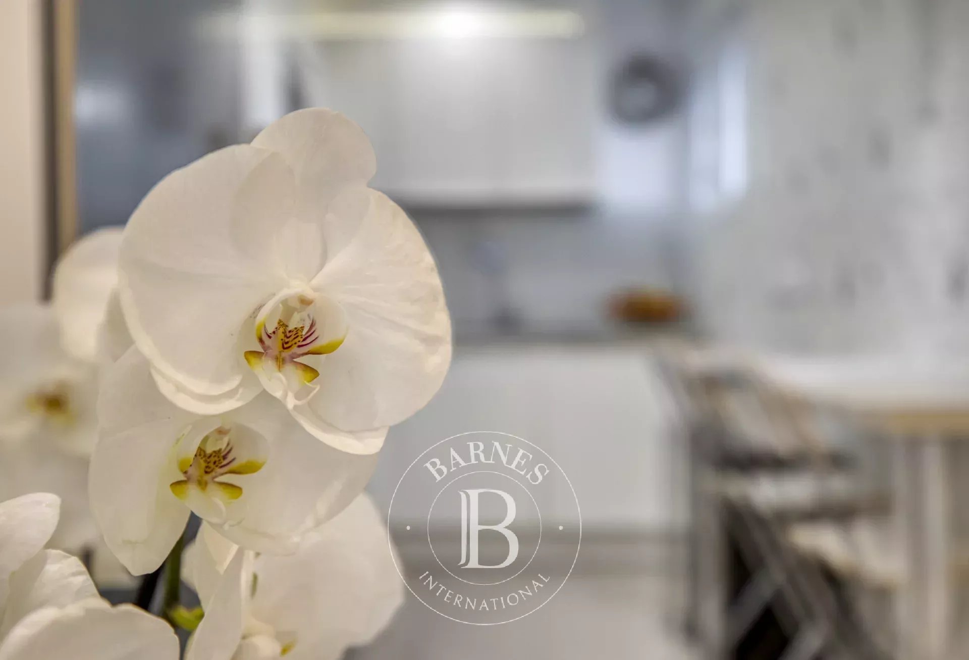 Ev Vétraz-Monthoux - picture 10