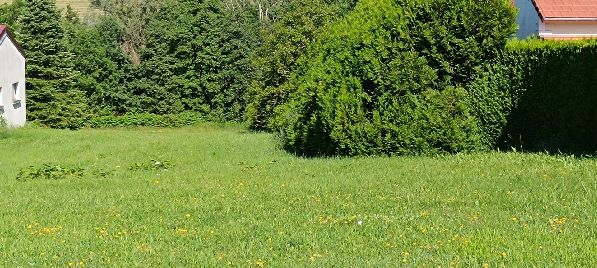 Vente Terrain Cusset