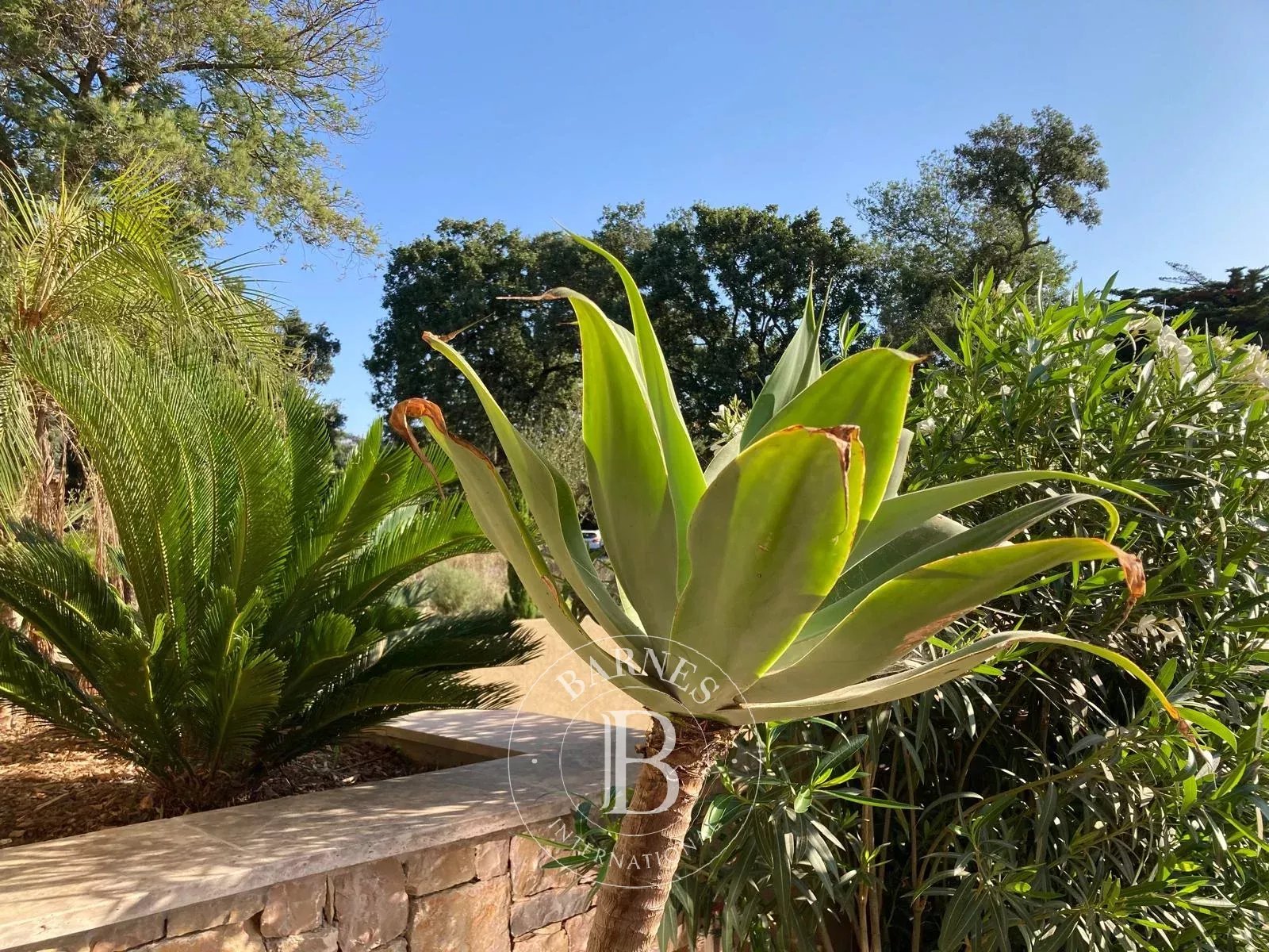 Daire Grimaud - picture 7