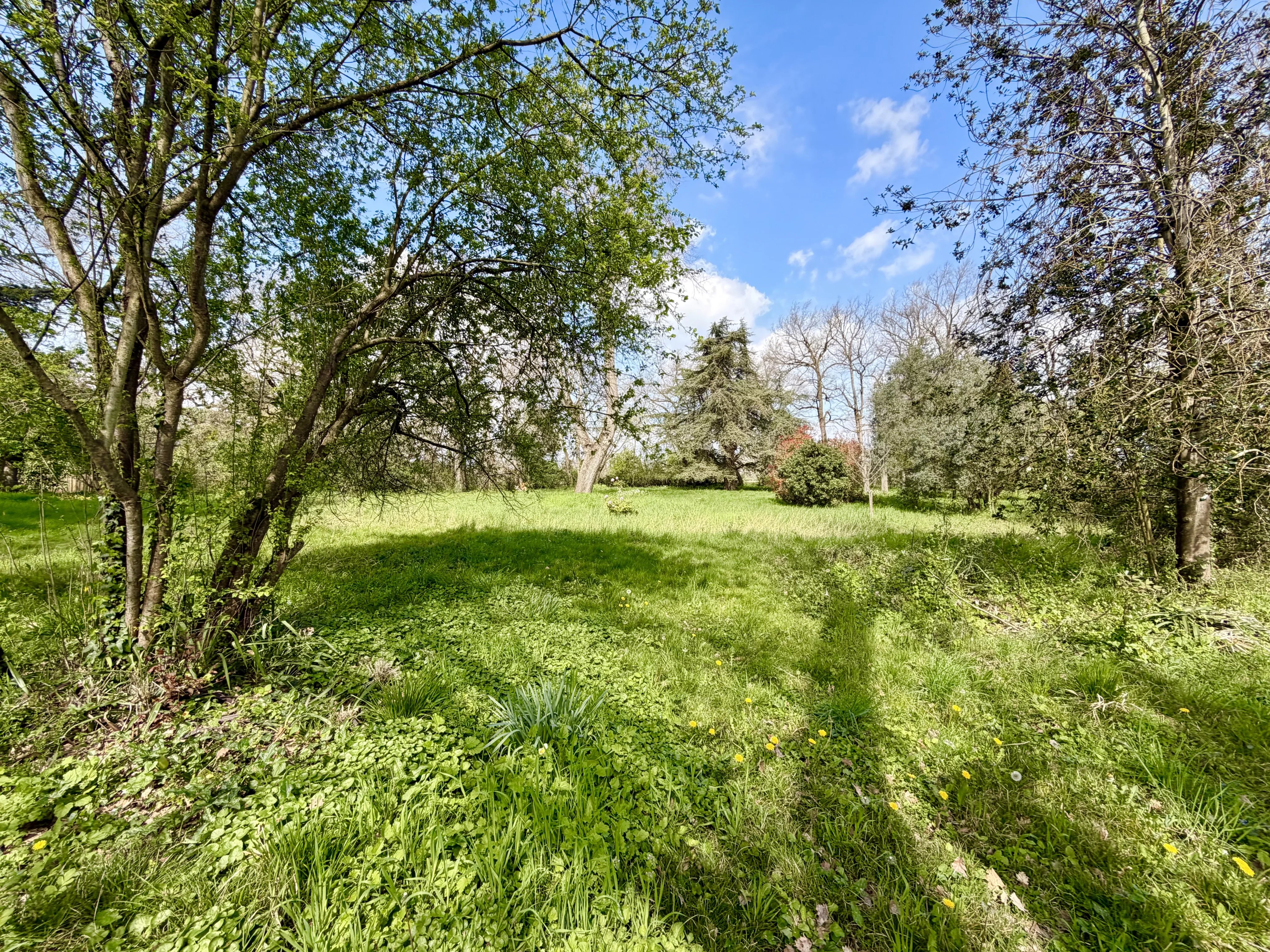 Maison à vendre Salles-sur-Garonne, Haute-Garonne