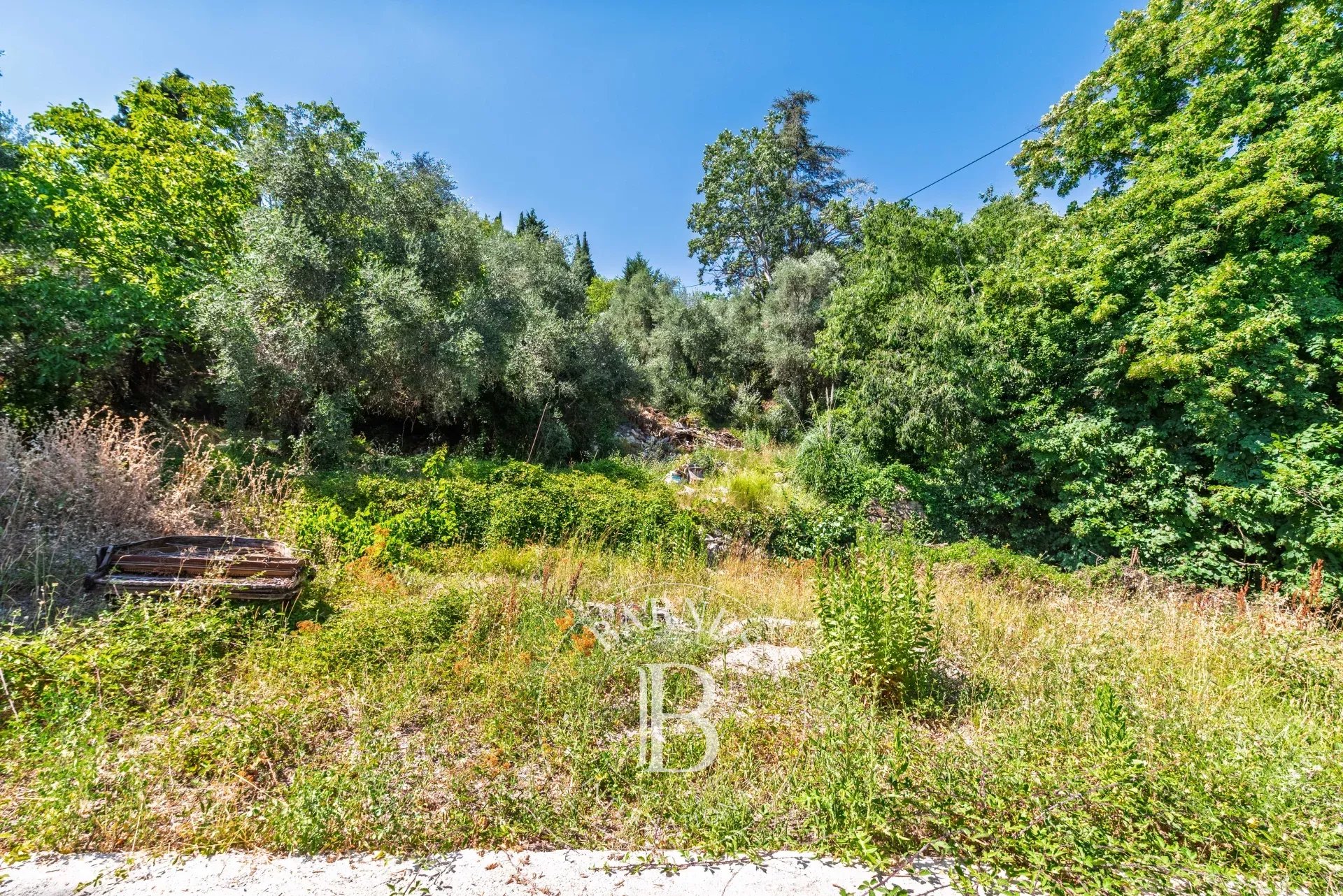 Grasse  - Terrain  - picture 10