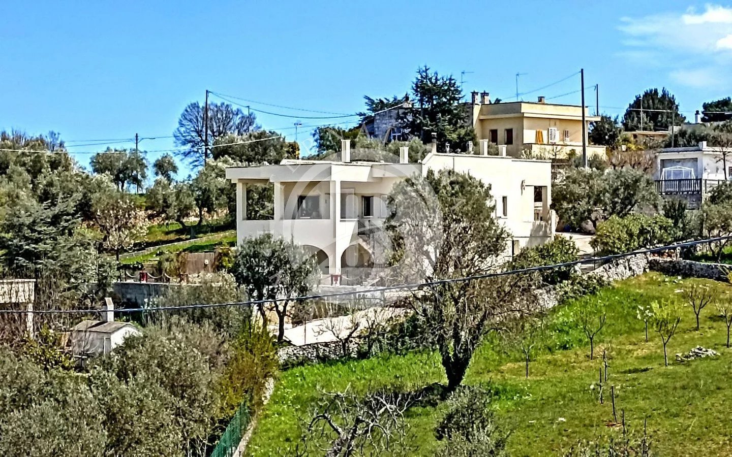 Villa in Fasano - view 1