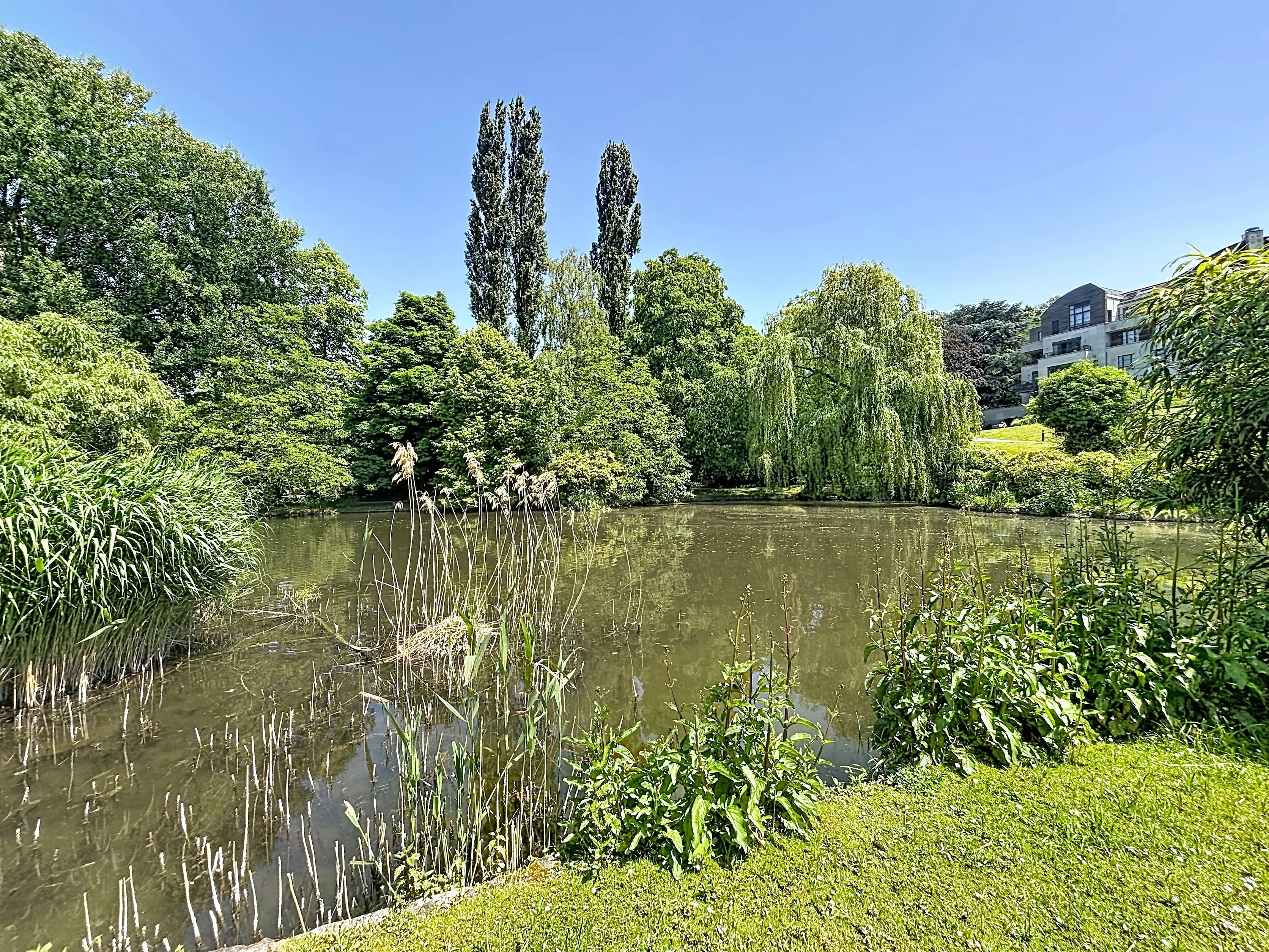 Woluwe-Saint-Pierre  - Maison  - picture 16