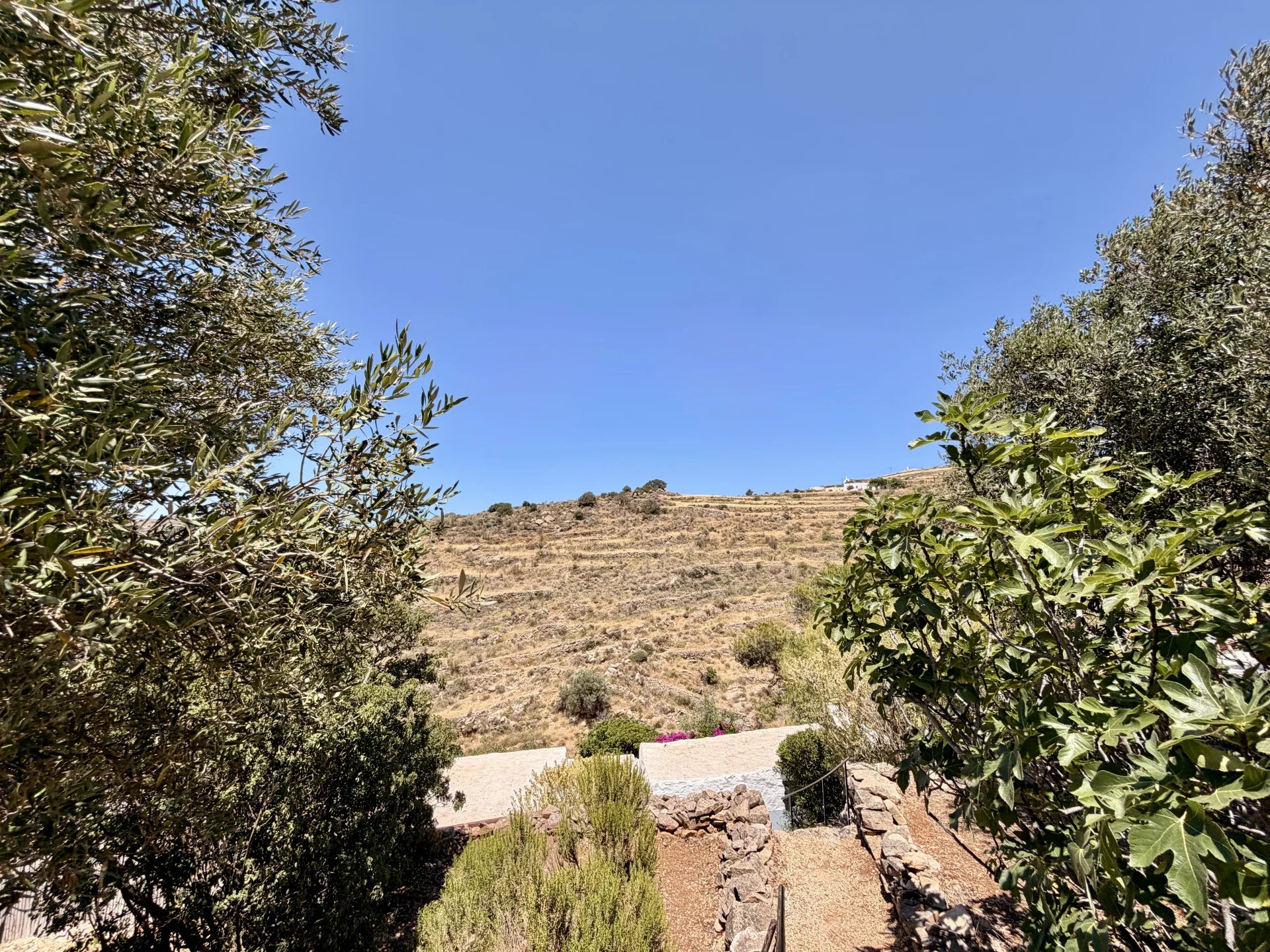 Image de la propriété 39