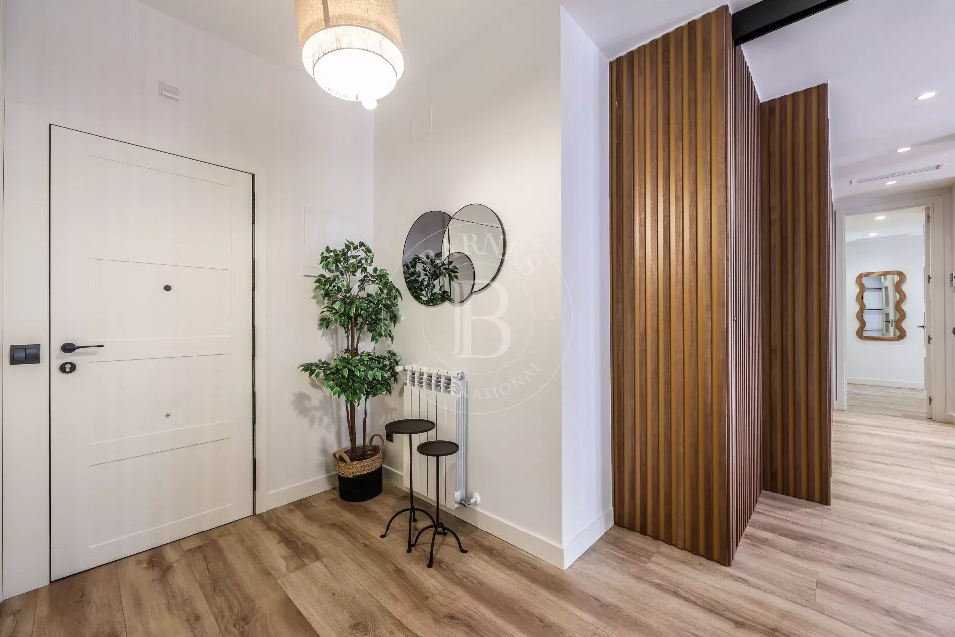 Daire Madrid - picture 13