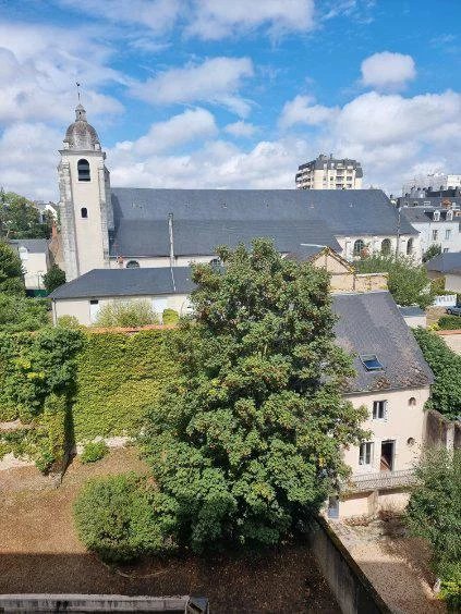 Studio - Bord de loire - Photo 4