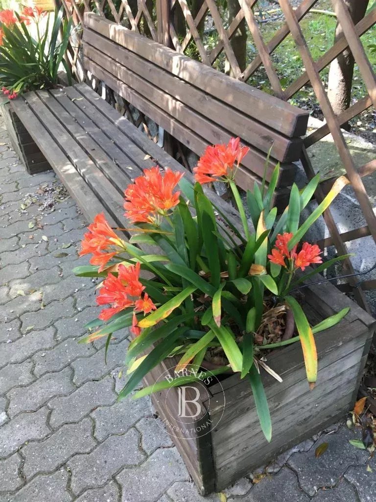 Villa Sanremo - picture 12