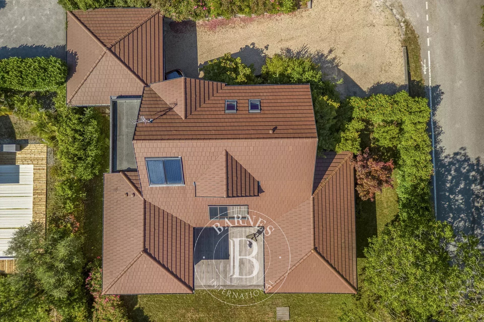 Ev Bonne - picture 5