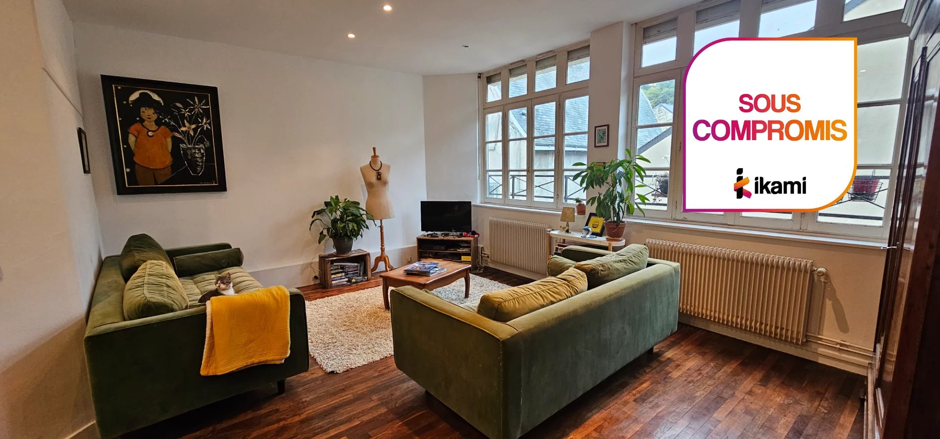 Appartement T6 en duplex coeur de ville