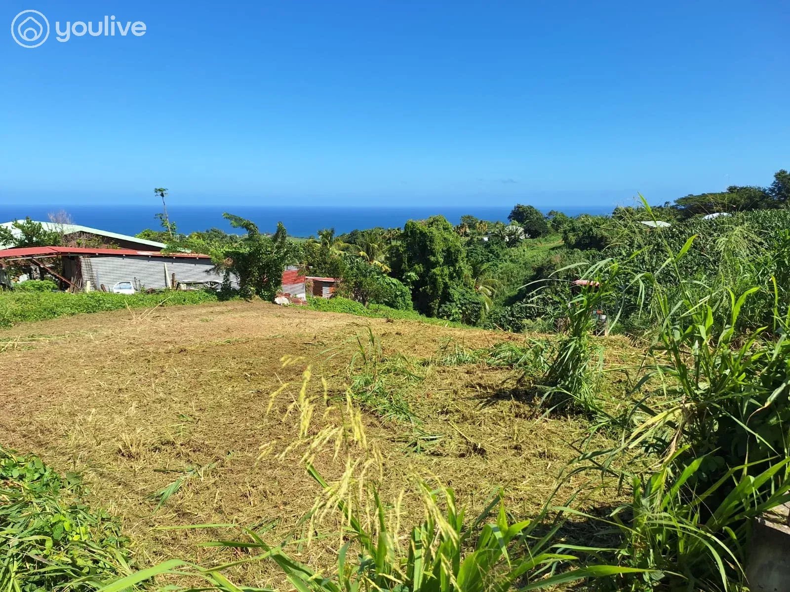 Le Lorrain – Terrain avec vue mer et fort potentiel de construction – 2 472 m²