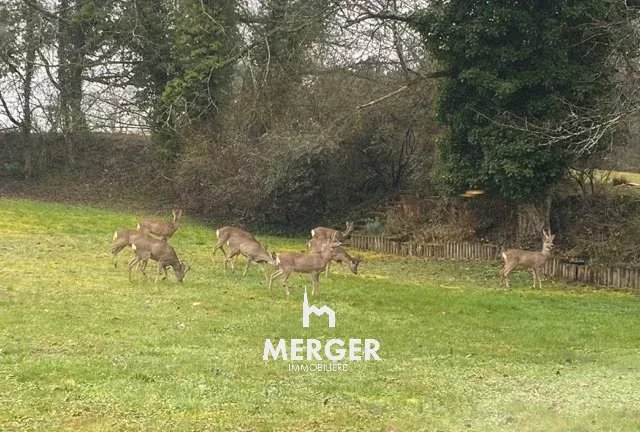 Vente Maison Durstel