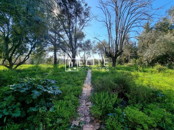 BUILDING LAND 16000m² GRASSE — photo 6