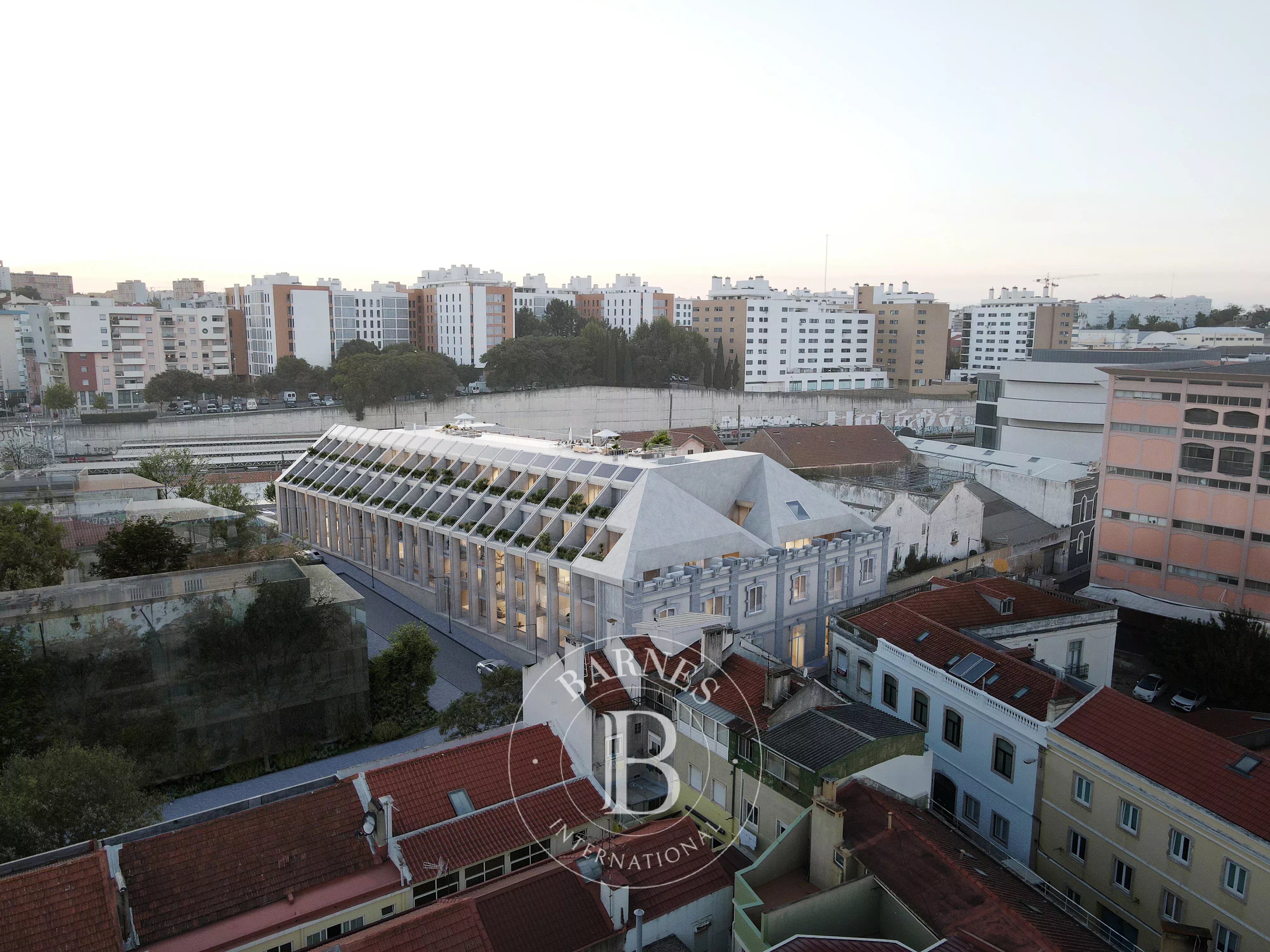 Living in a dynamic neighborhood near the Tagus River