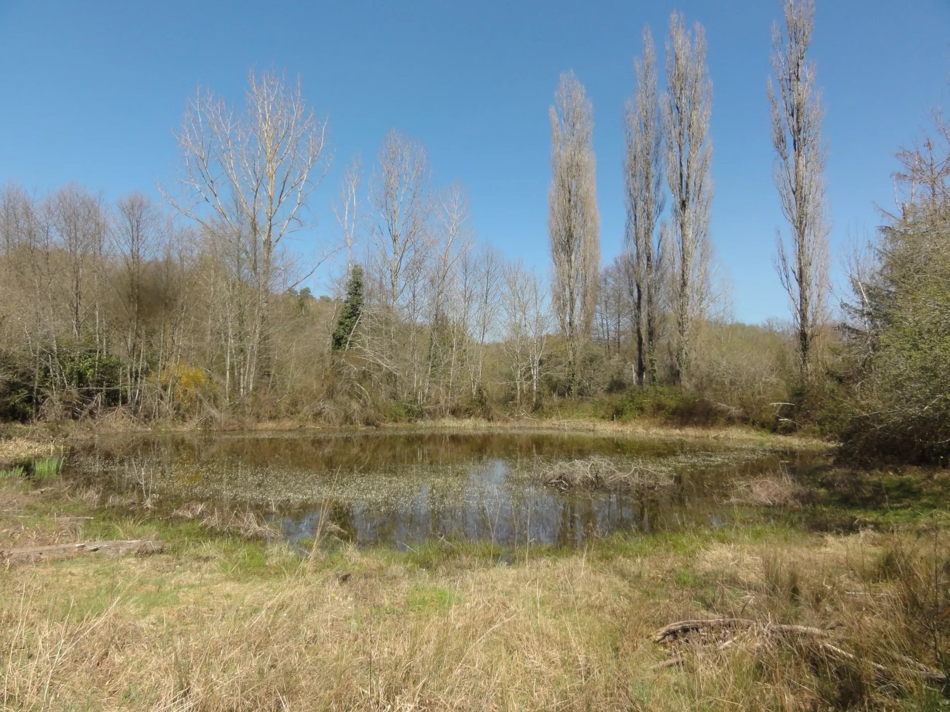 Agence immobilière de FUTUR TRANSACTIONS BRANTOME